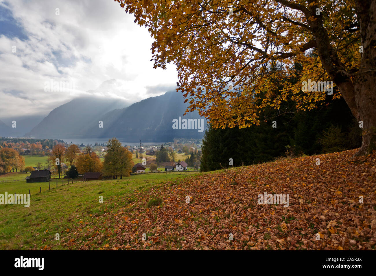 Stimmung, Herbst, Bad Goisern, Oberösterreich, Österreich, Europa, Bright, Laub, Nebel, Stimmung, Holz, Wald, Stockfoto