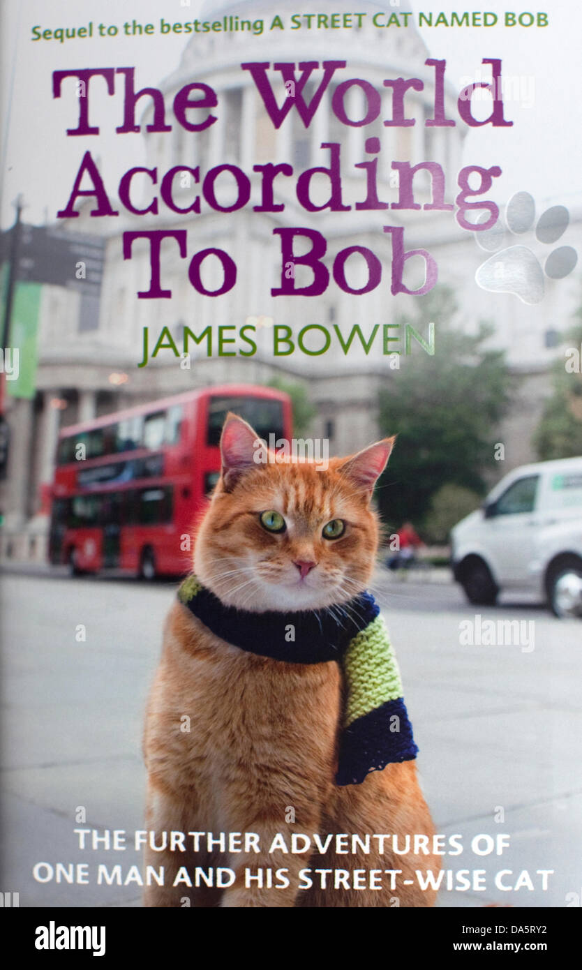 London, UK. 4. Juli 2013. Busker James Bowen und seine Street Katze namens Bob startete ihre dritte Buch heute Abend in London. Sie hoffen, dass die Welt nach Bob den Erfolg von ihrer ersten wiederholen wird, die über 700.000 Exemplare in Großbritannien verkauft und erscheint jetzt auf der ganzen Welt. Es war eine lange Schlange, die von außen Waterstone in Islington heute zu treffen das berühmte Duo und Exemplare signiert. Bildnachweis: Jeffrey Blackler/Alamy Live-Nachrichten Stockfoto