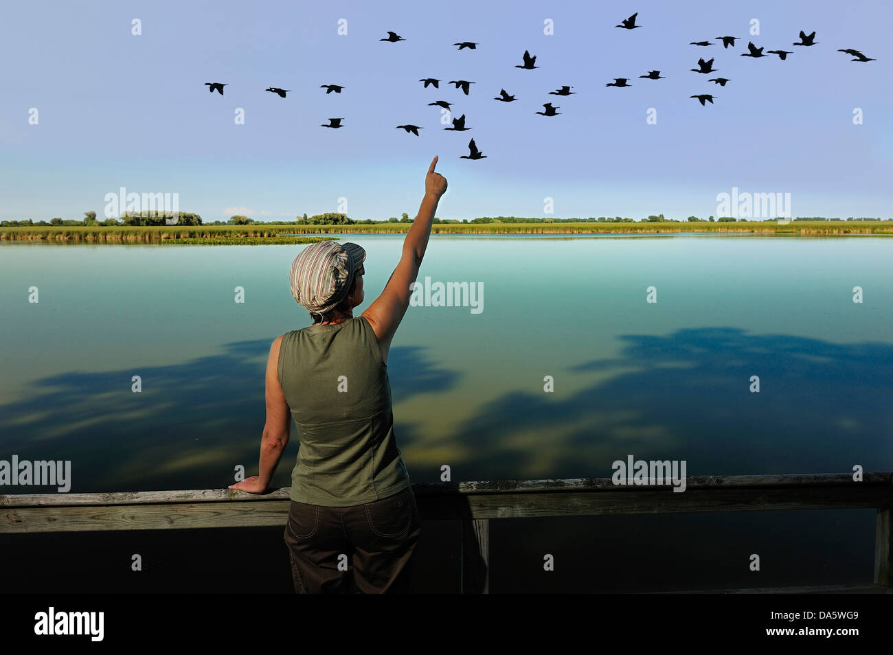 Frau, Vogelbeobachtung, Vogelbeobachter, Heiligtum Teich, Point Pelee, Nationalpark, Leamington, Ontario, Kanada, Vögel Stockfoto