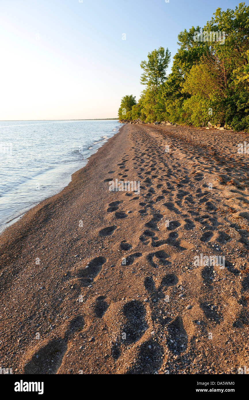 Kanada, Erie-See, See, Leamington, Ontario, Point Pelee, Nationalpark, Reisen, Strand, Tag, tagsüber, Fußabdrücke, See, Landschaft Stockfoto