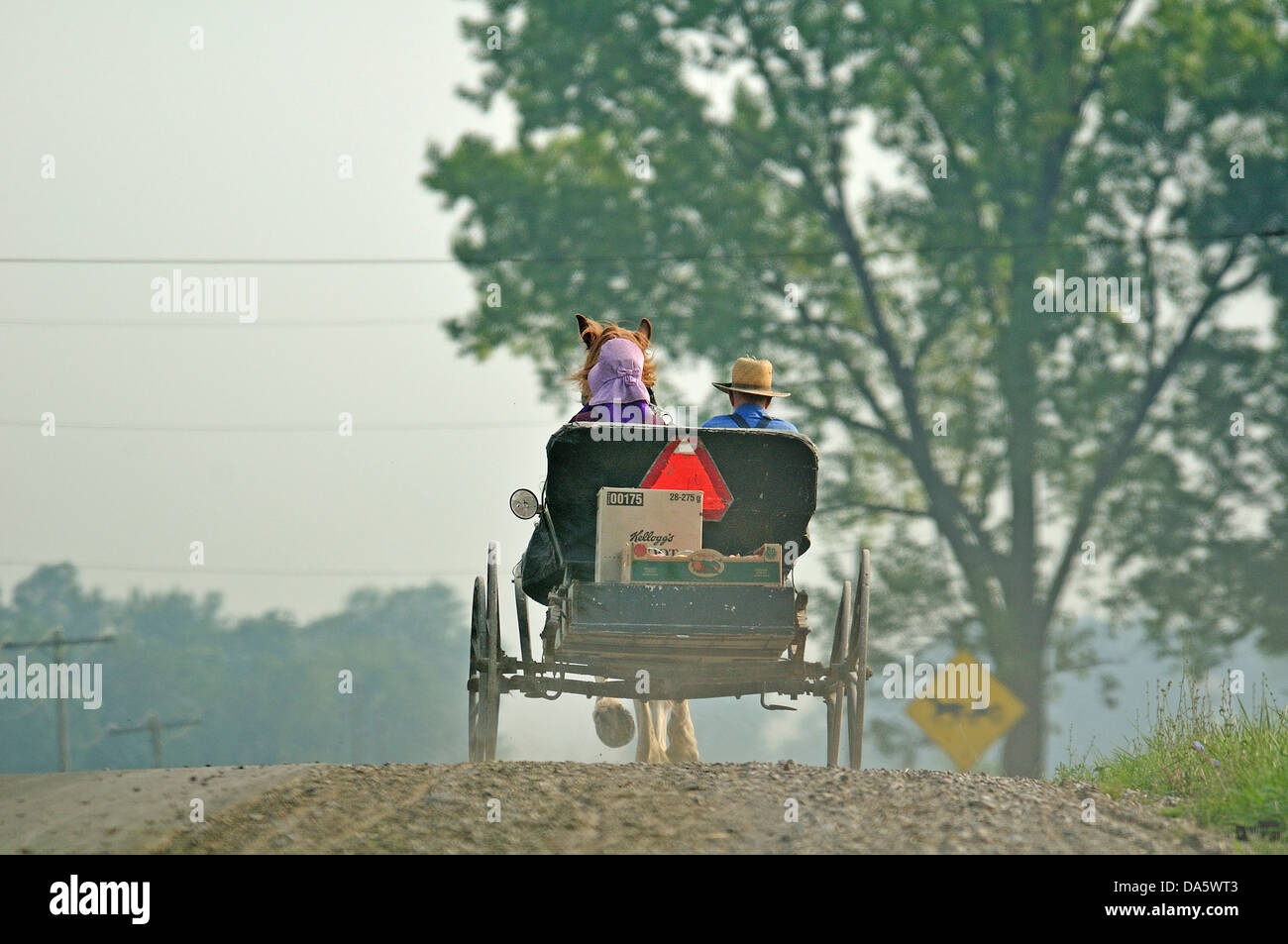 Kanada, Pferd, Kutsche, Mennonite, Erbe, Ontario, St. Jacobs, Buggy, Landschaft, paar, Mann, Frau, Tag, Tageszeit, gezeichnet, Stockfoto