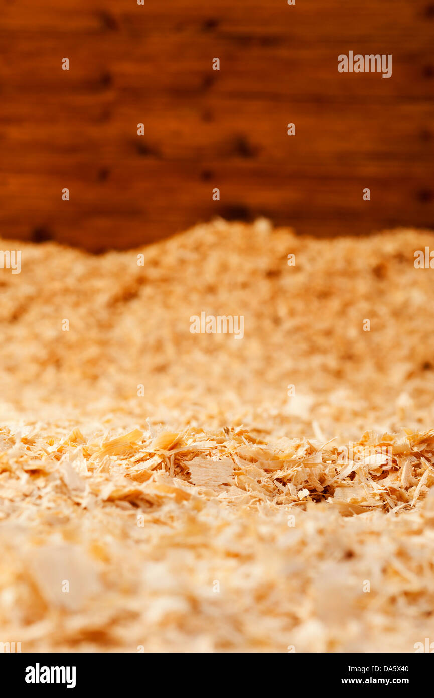 Holzspäne in Pferd stall für Bettwäsche. Stockfoto