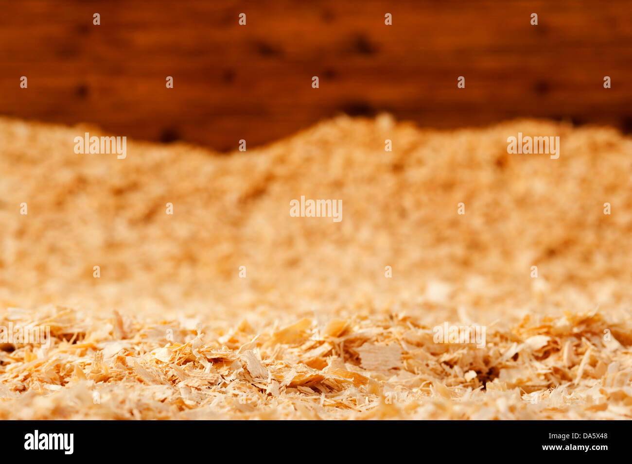 Holzspäne in Pferd stall für Bettwäsche. Stockfoto