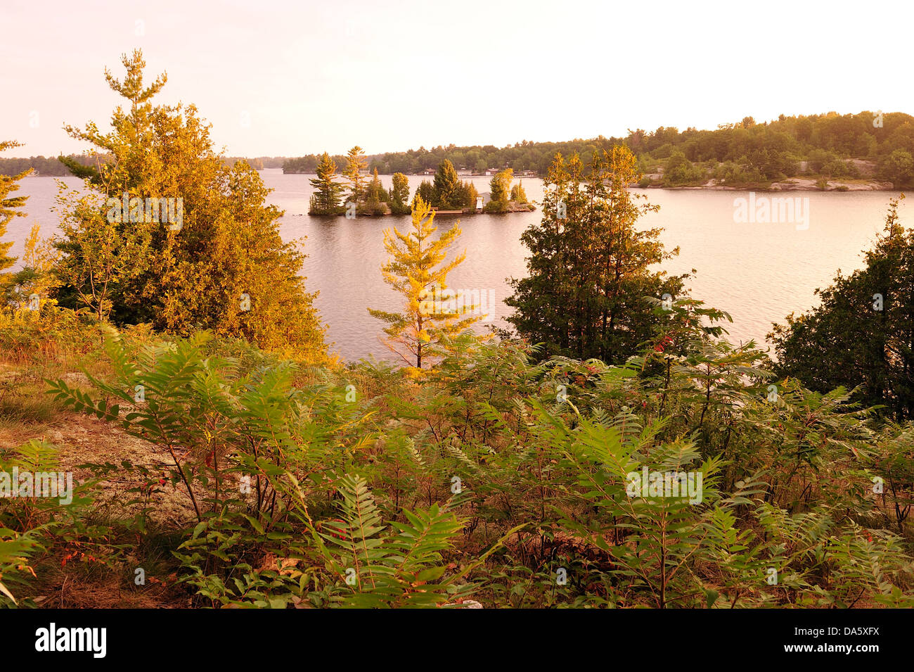 Kanada, Lake Muskoka, See, Ontario, Bäume, Sonnenuntergang, horizontal, Insel, Landschaft, Sonnenuntergang, Wasserlandschaft, Landschaft Stockfoto