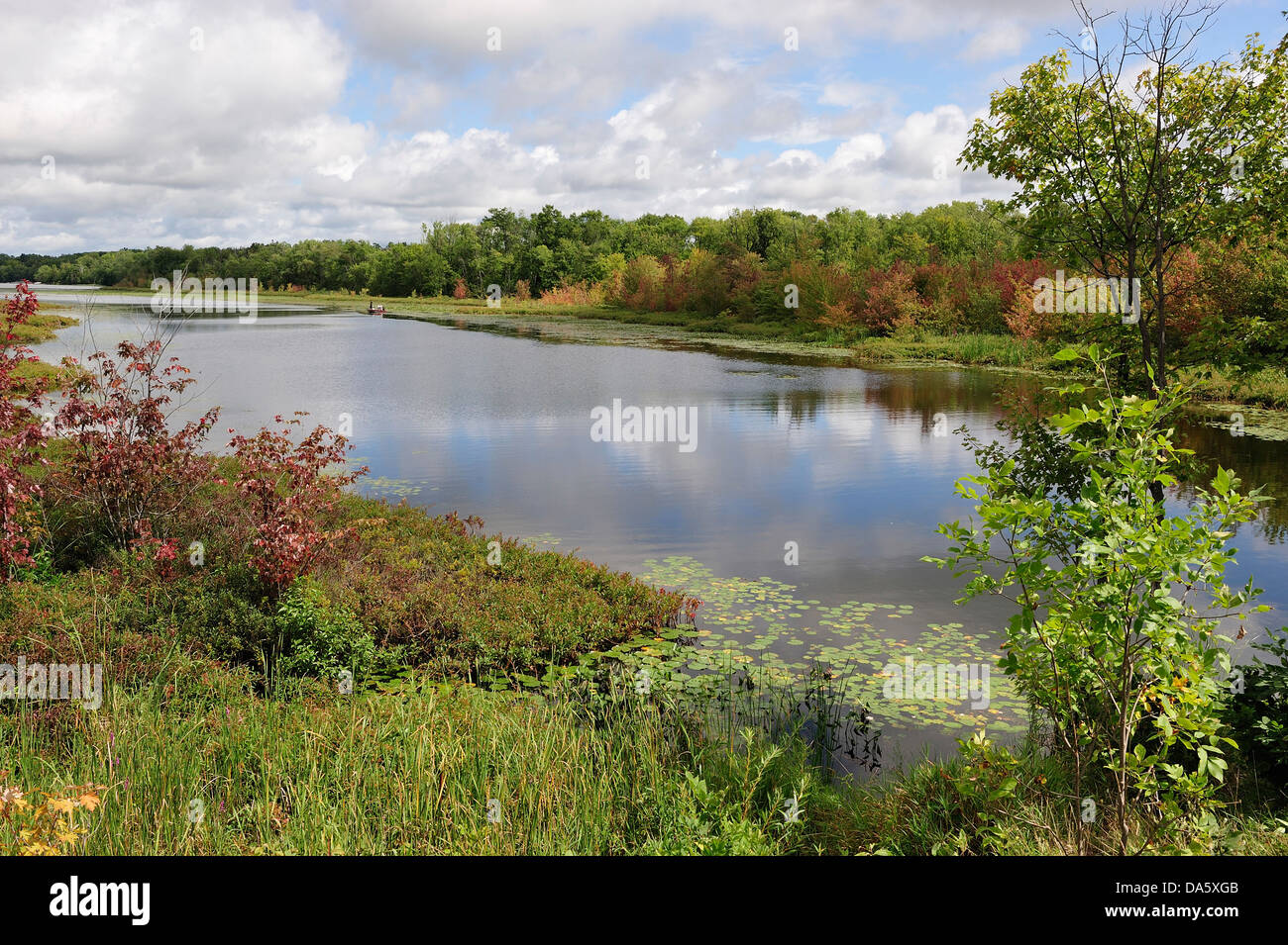 Dalryampole, See, Lindsay, Muskoka, Ontario, Kanada, Wasser, Landschaft, Natur Stockfoto