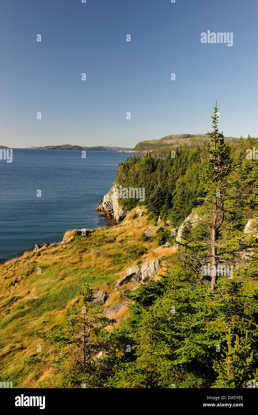 Zerklüftete Küste, neue Bonaventura, Neufundland, Kanada, Meer, Felsen, Landschaft Stockfoto