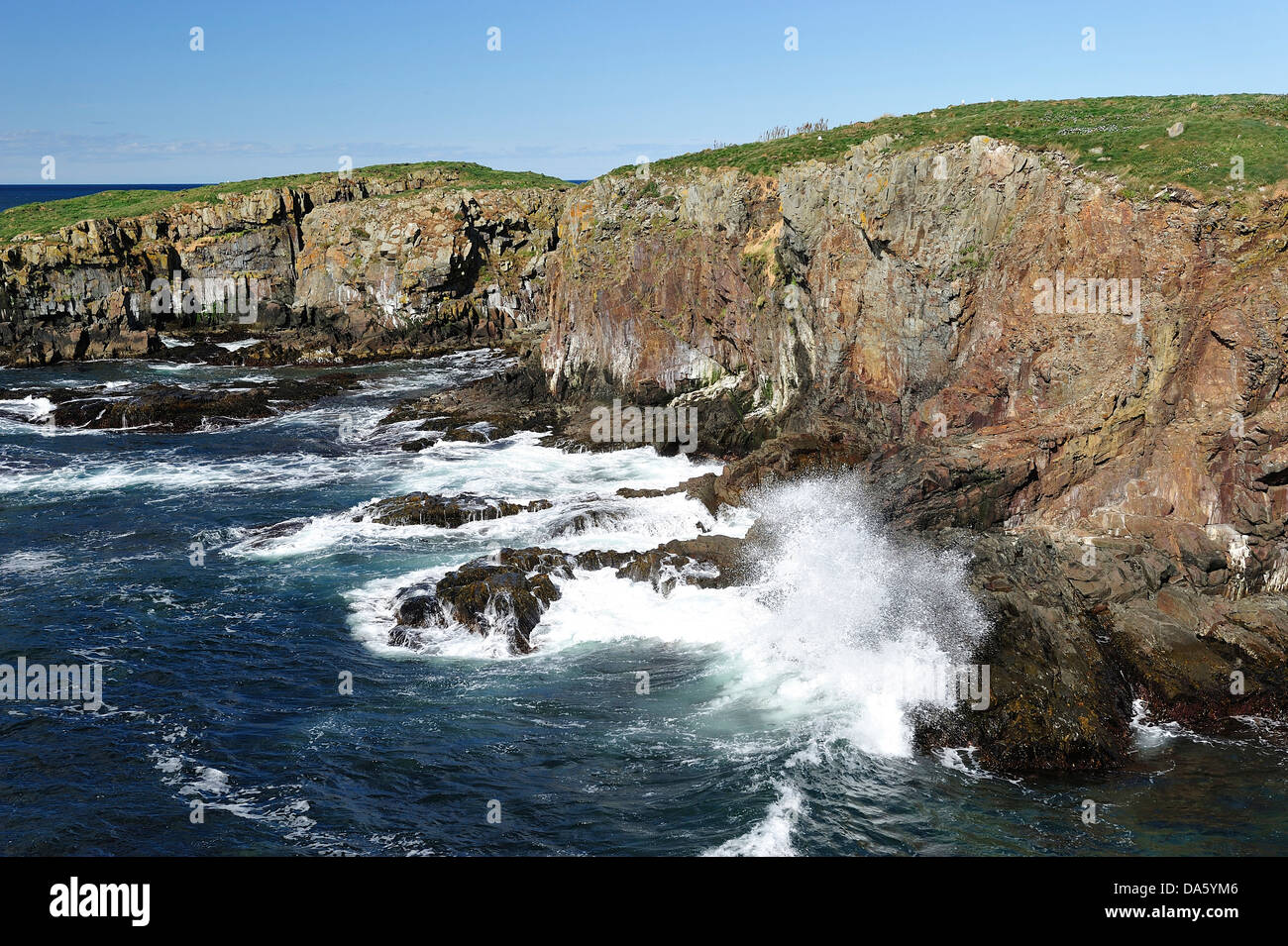 Robust, Surf, Klippen, Küste, Elliston, Neufundland, Kanada, Küste, Meer, Landschaft, felsig, Felsen, Stockfoto