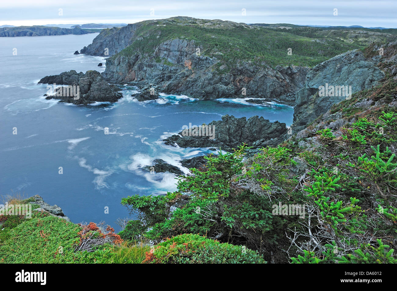 Schroffe, felsige, Küste, lange Point Lighthouse, Crow Kopf, Neufundland, Kanada, Landschaft Stockfoto