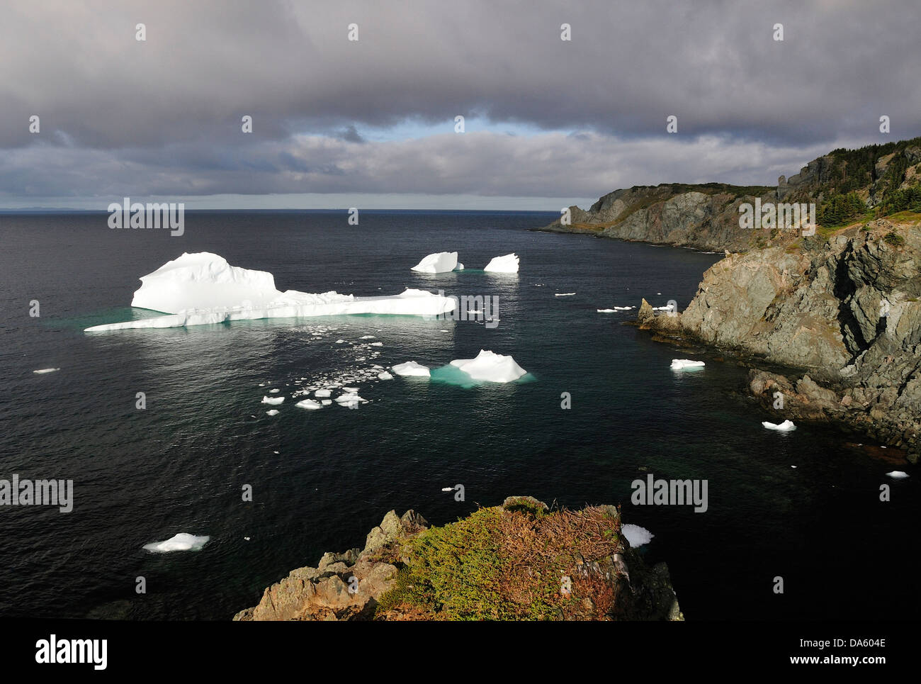 Dorf, Bucht, ruhig, Eisberge, Iceberg, Crow Kopf, Twillingate, Neufundland, Kanada, Landschaft, Natur, Küste, felsigen Stockfoto