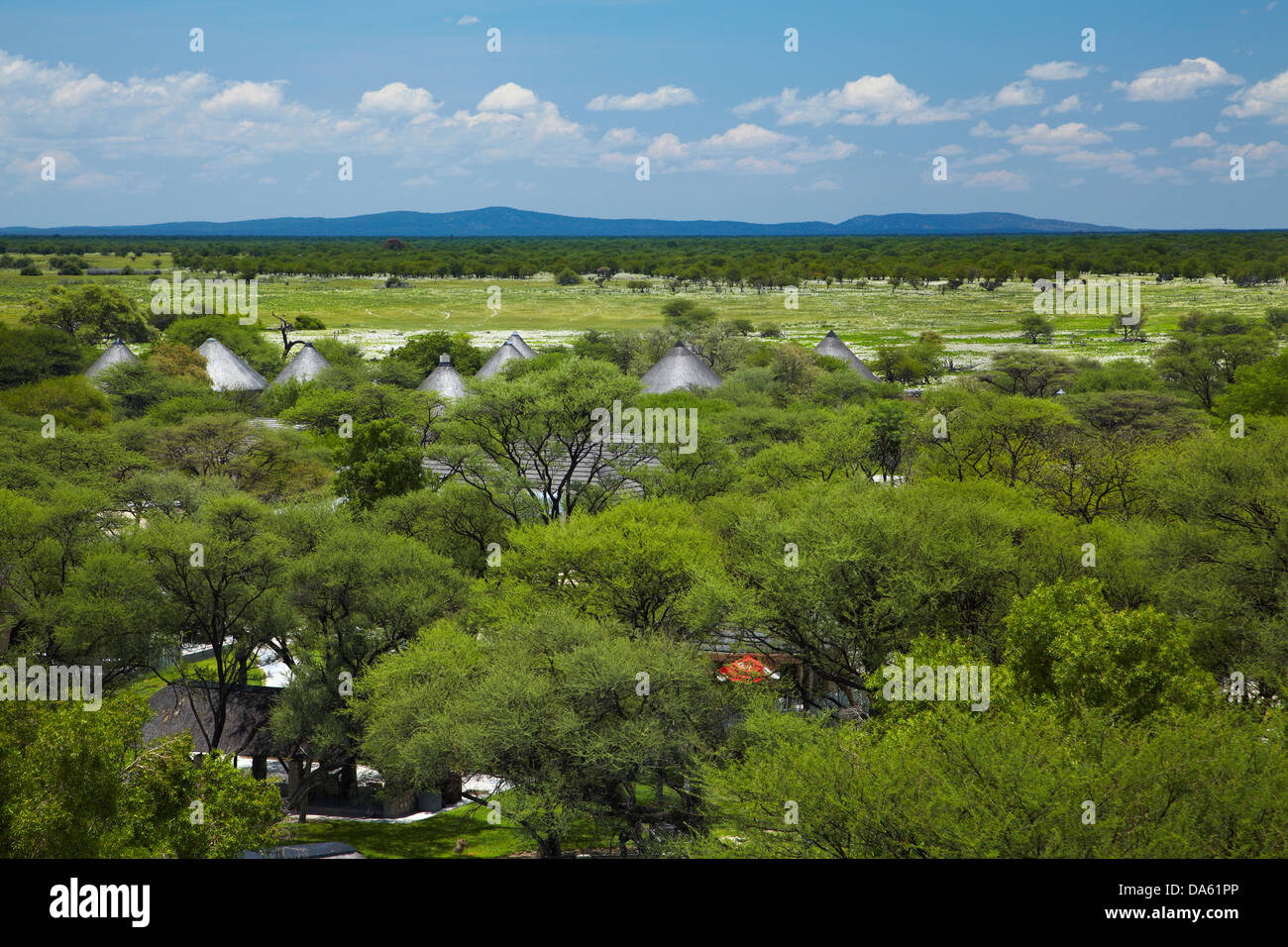 Okaukuejo Rest Camp, Etosha Nationalpark, Namibia, Afrika Stockfoto