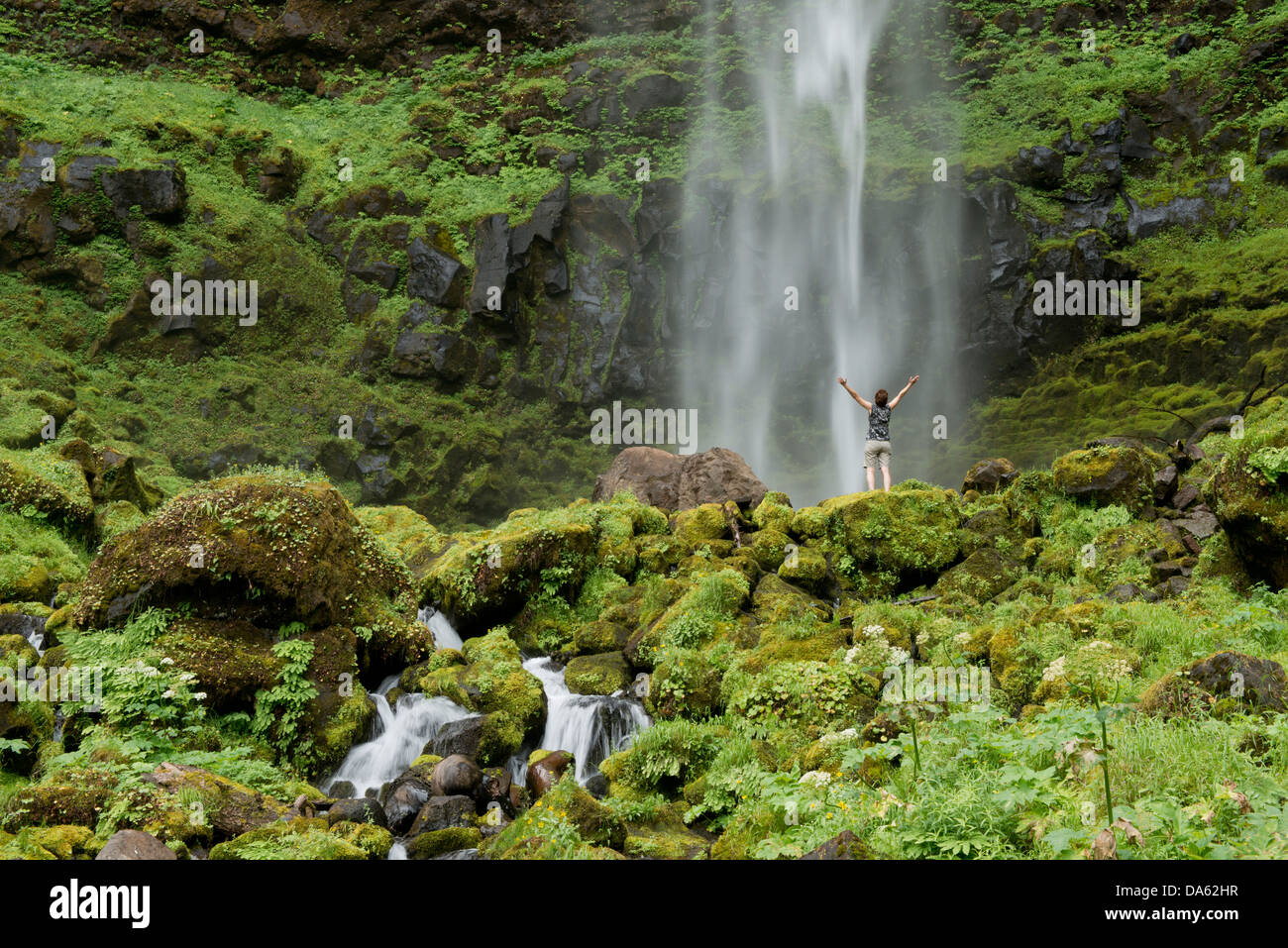 Watson Falls, Oregon, Roseburg, Oregon, USA, USA, Amerika, Wasser, Wasserfall, grün, Natur, Landschaft, Stockfoto