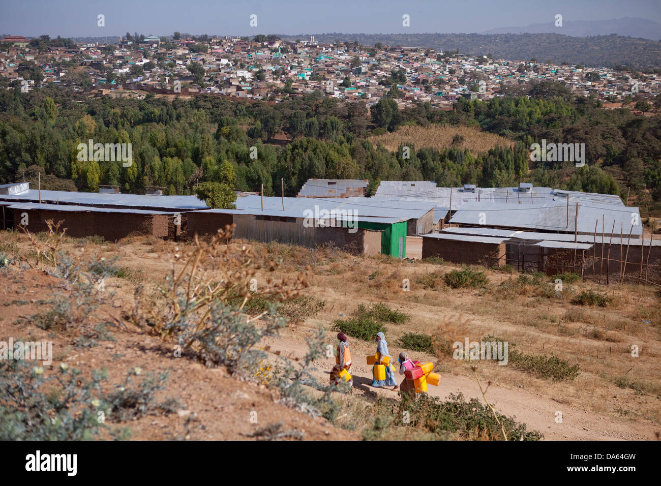 Stadt, Stadt, Harar, Äthiopien, UNESCO Weltkulturerbe, Afrika, Stadt, Stadt, Metalldächer, Hütten Stockfoto