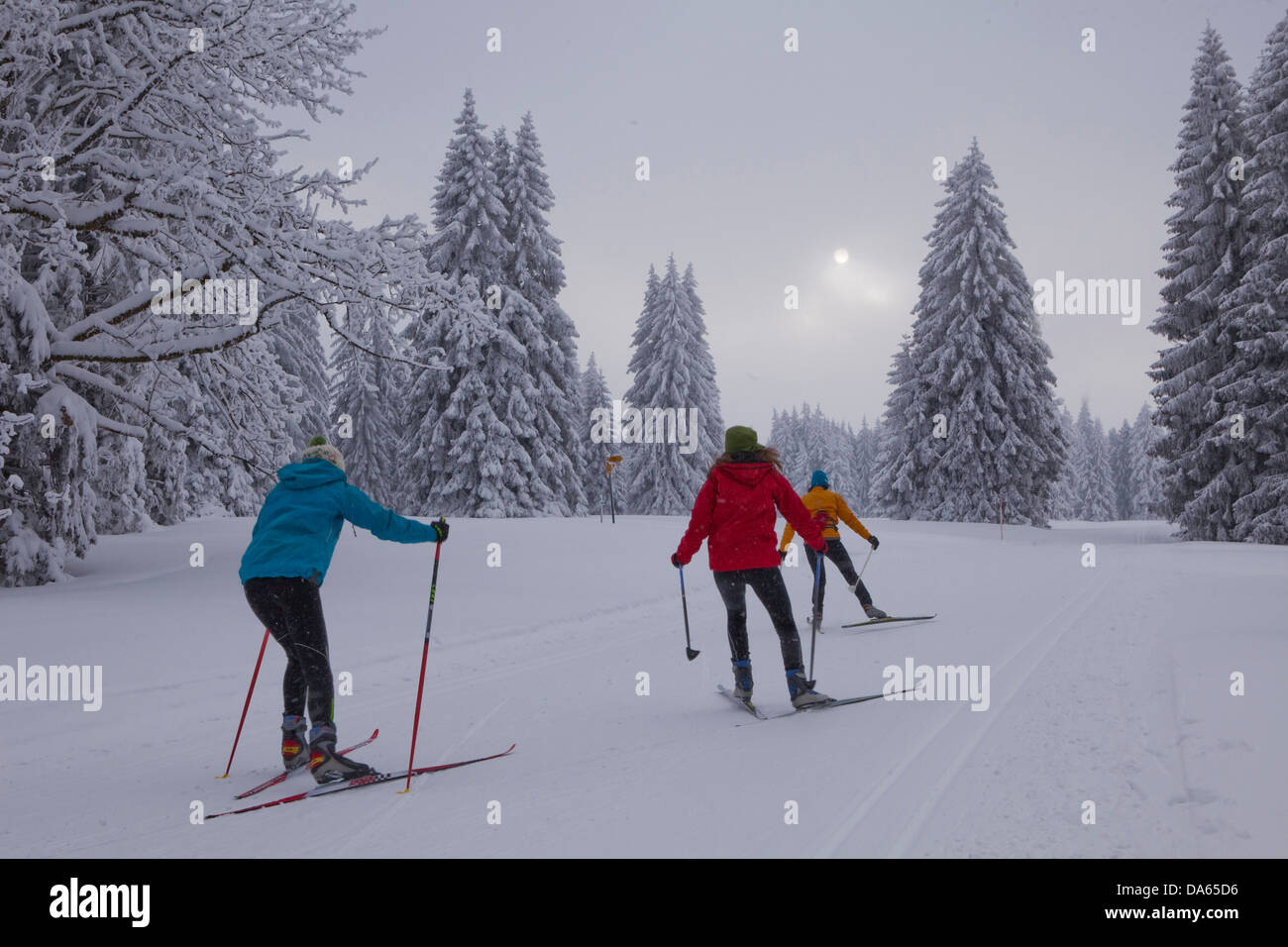Langlauf, ski, Winter, Jura, Kanton, JU, Jura, Langlaufen, Skifahren, Wintersport, Holz, Wald, Schweiz, Europa, Gruppe Stockfoto