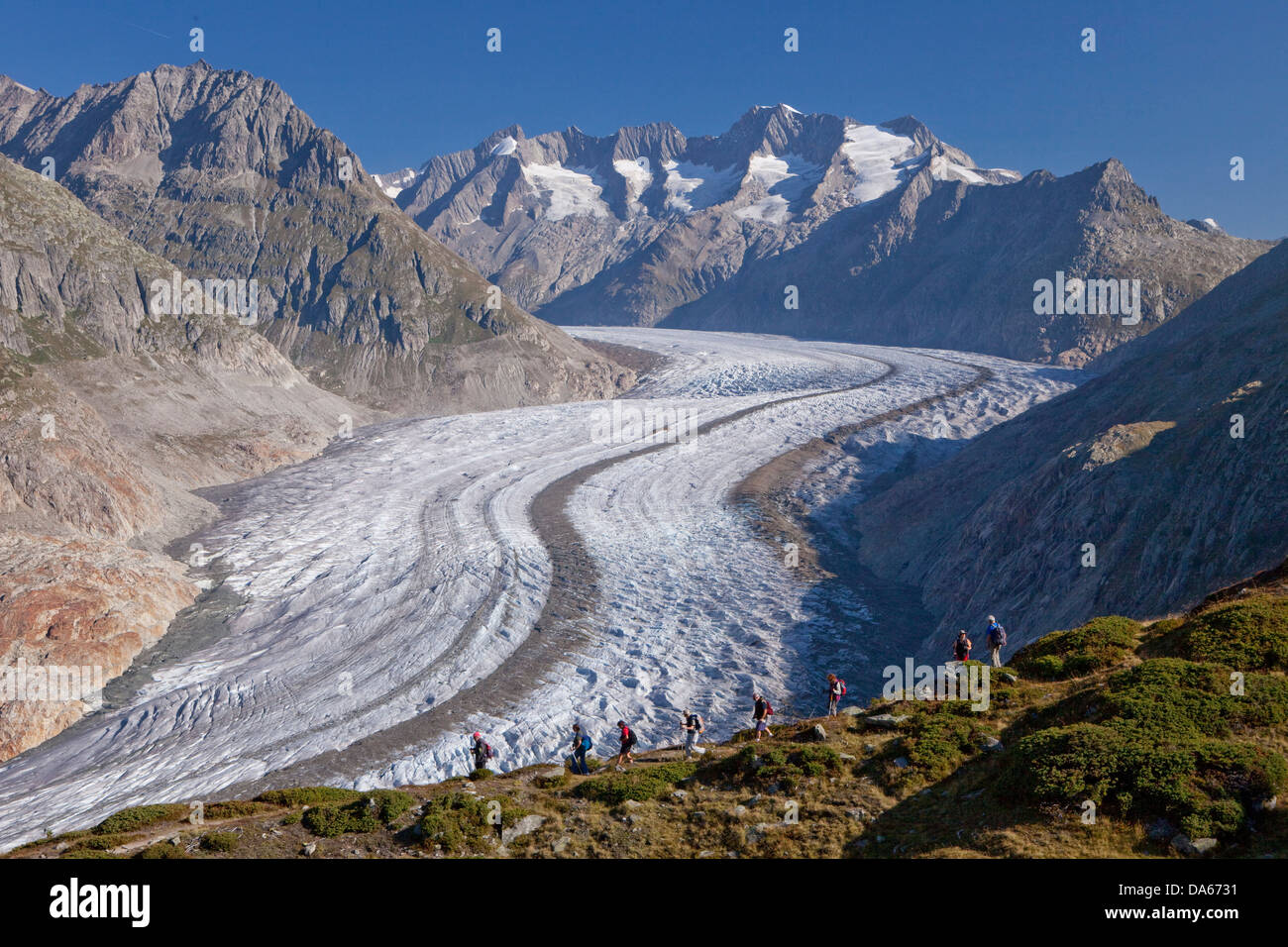 Tour, Aletsch Gletscher, Eis, Gletscher, Eis, Moräne, Kanton Wallis, Wandern, Wandern, trekking, Schweiz, Europa, Gruppe, Tuxertal Stockfoto
