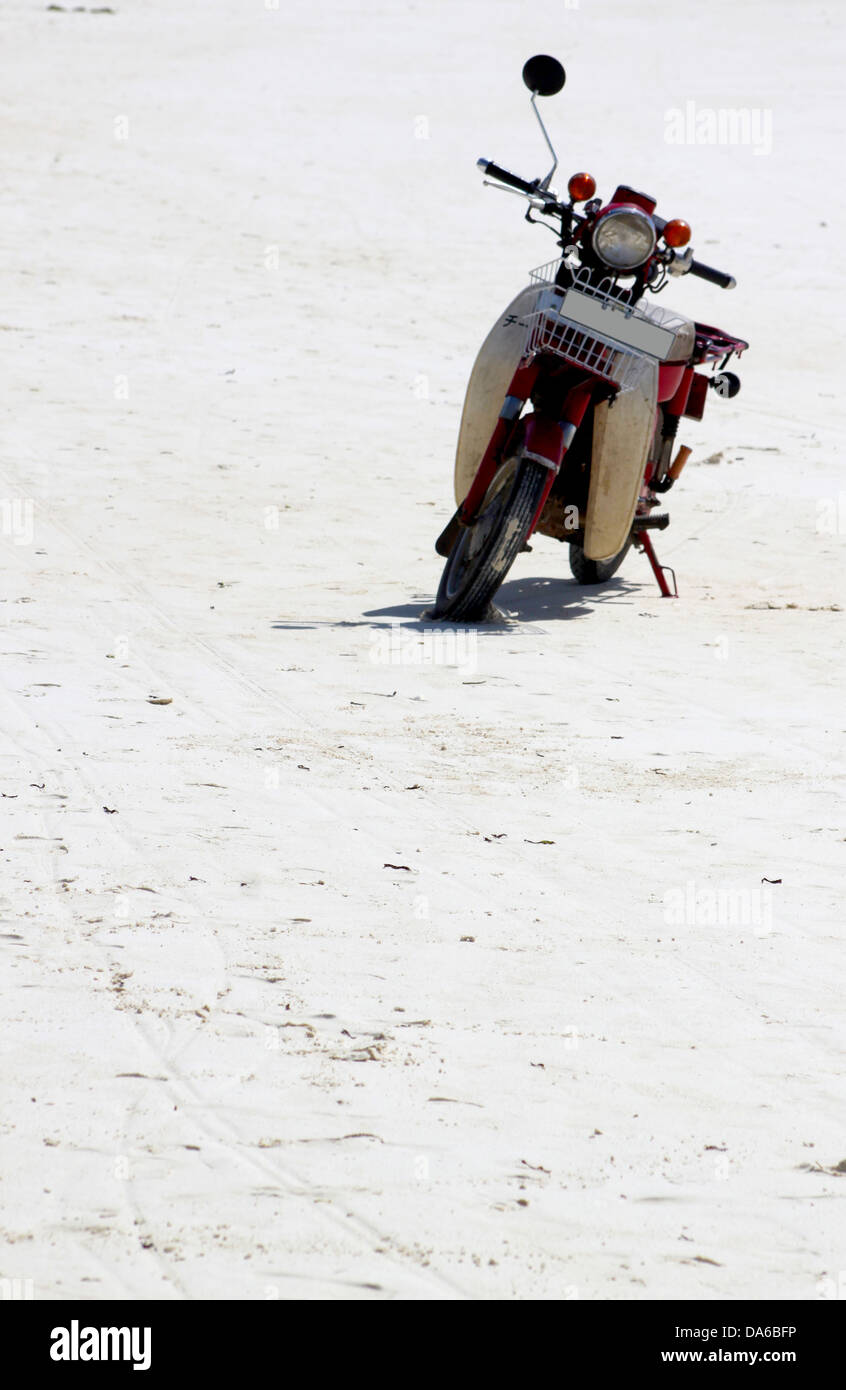 Roller am Strand von sansibar Stockfotografie - Alamy