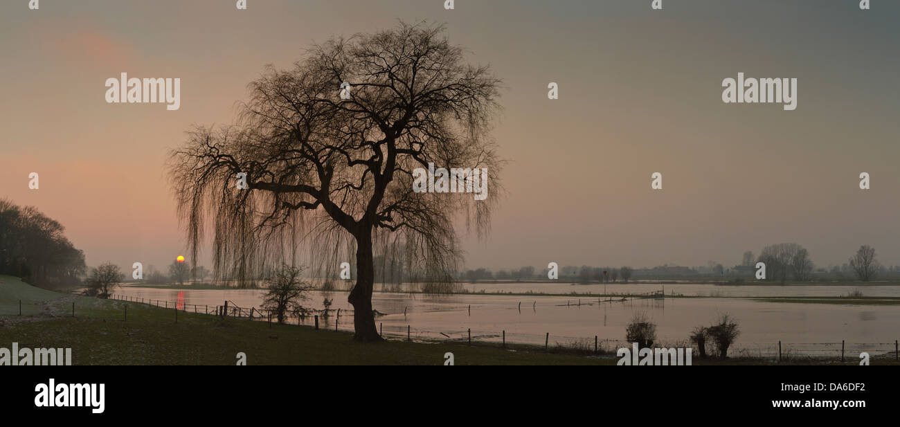 Gelderland, Niederlande, Europa, Gorsel, Sonnenuntergang, Fluss Ijssel, Landschaft, Wasser, Bäume, Winter, Stockfoto