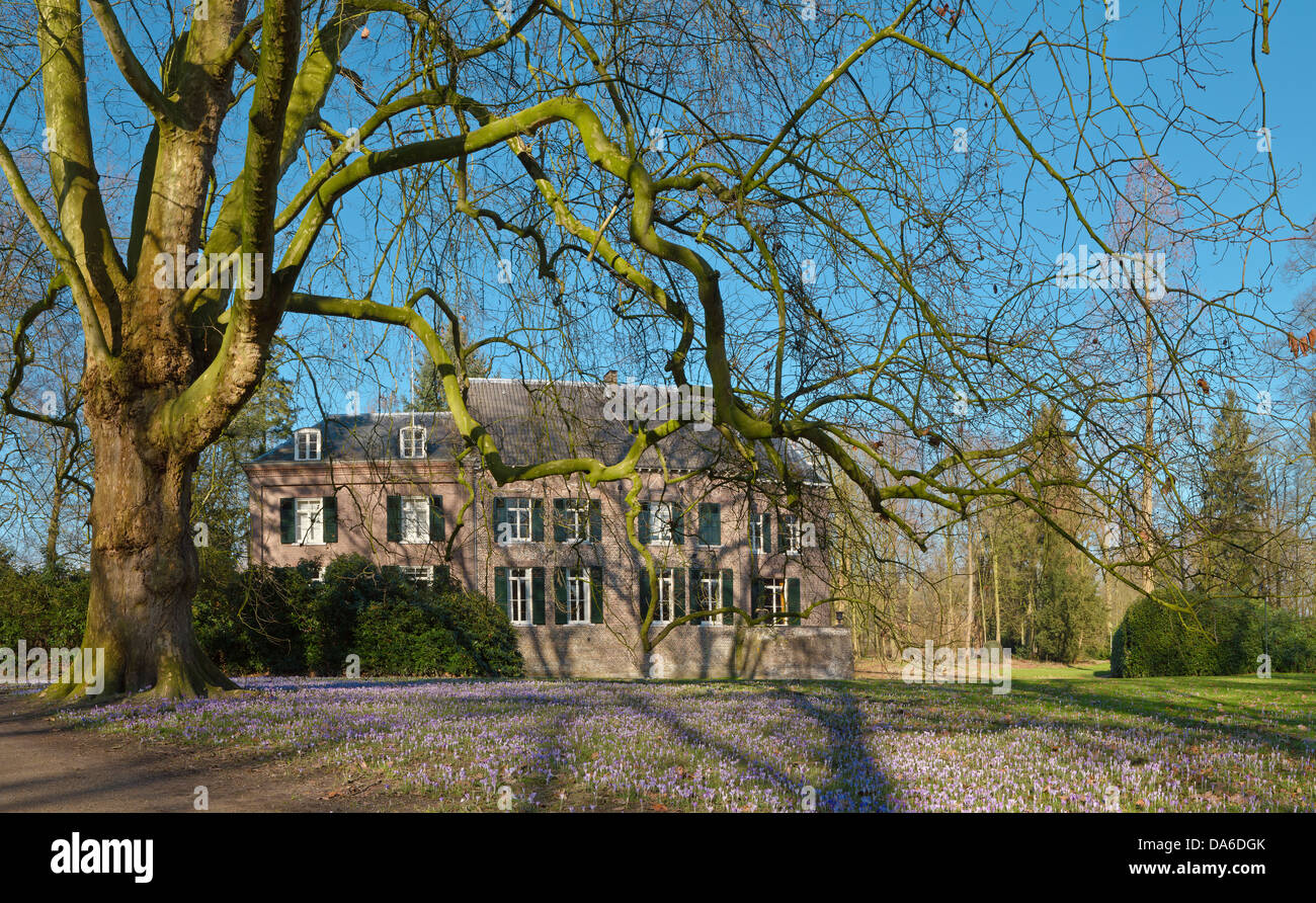 Noord-Brabant, Niederlande, Europa, Geldrop, Schloss, Blumen, Bäume, Frühling, Garten, Stockfoto