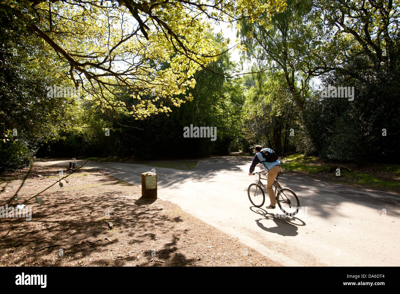 Ein Radfahrer von einem Zyklus Wege durch Sutton Park. Stockfoto