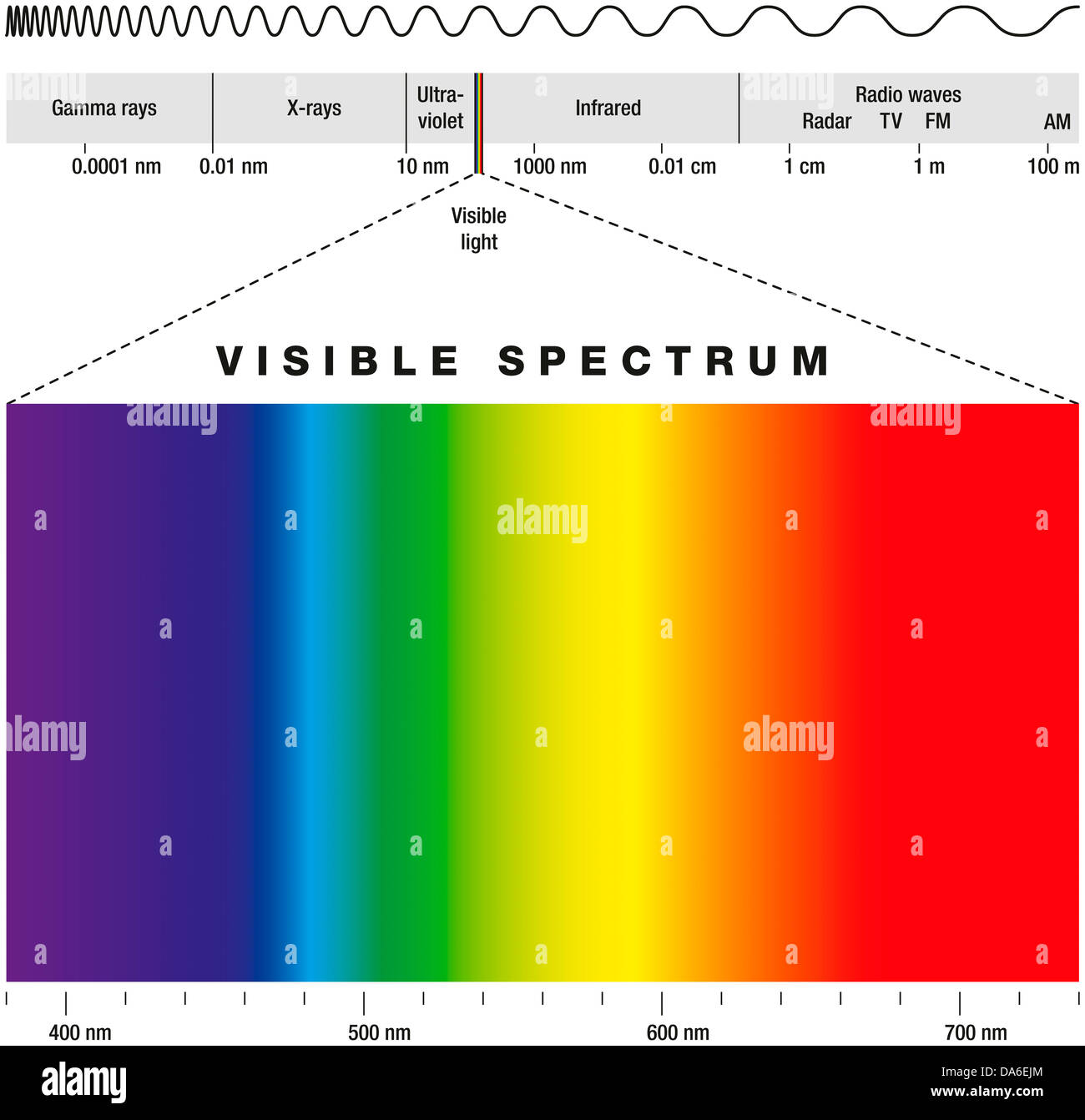 Elektromagnetischen Spektrums und sichtbarem Licht Stockfoto