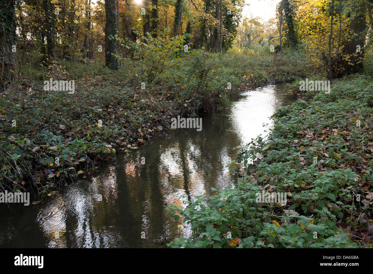 Fisch-Pass-Bypass-Kanal-Struktur mit bewachsenen Ufer am Byrons Pool auf dem Fluss Cam, Cambridge, Cambridgeshire, Großbritannien Stockfoto