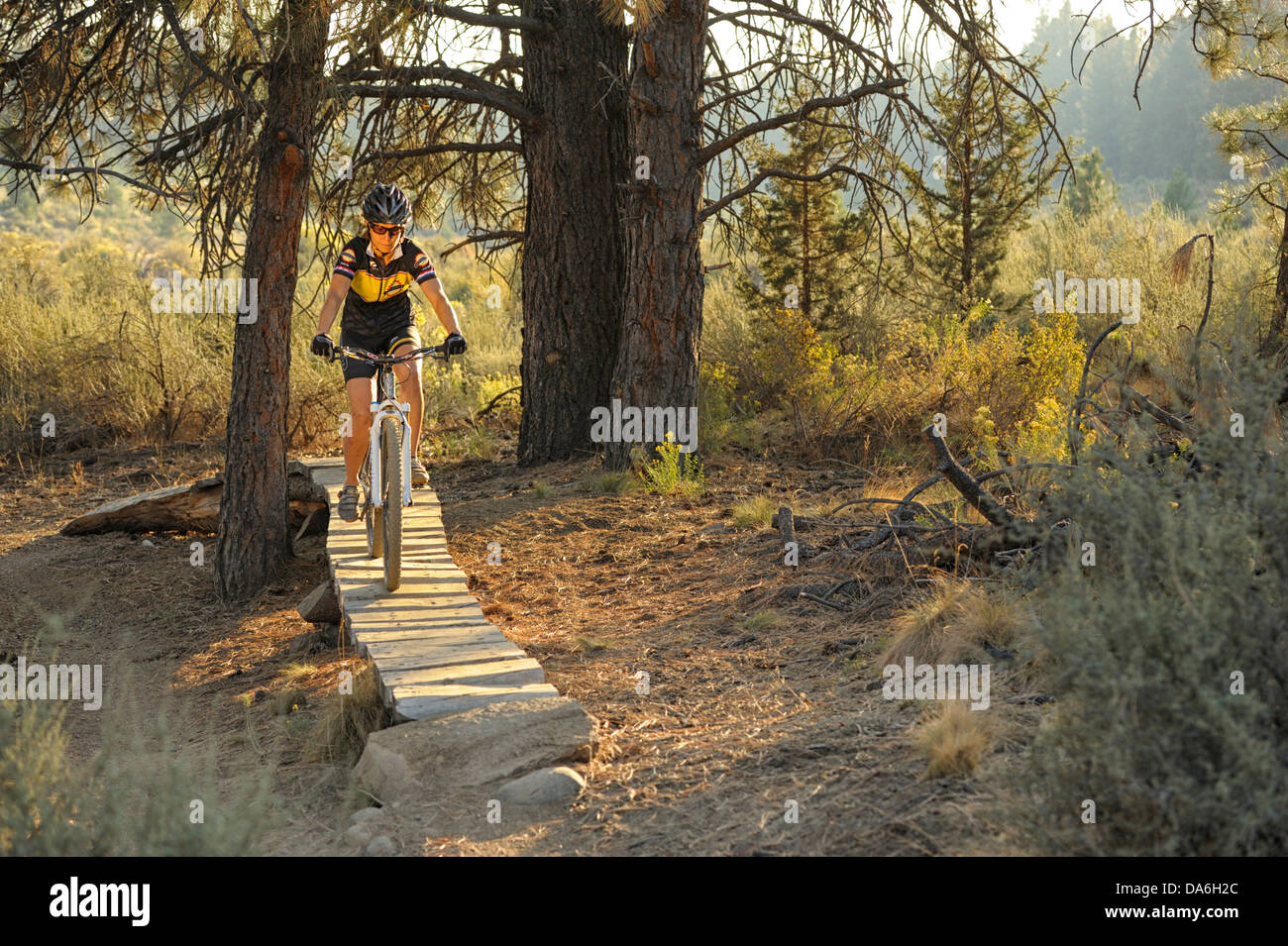 USA, USA, Amerika, Oregon, Bend, Nordamerika, Deschutes, Grafschaft, Fahrrad, Fahrrad, Frau, Sport, Radfahren, outdoor Stockfoto