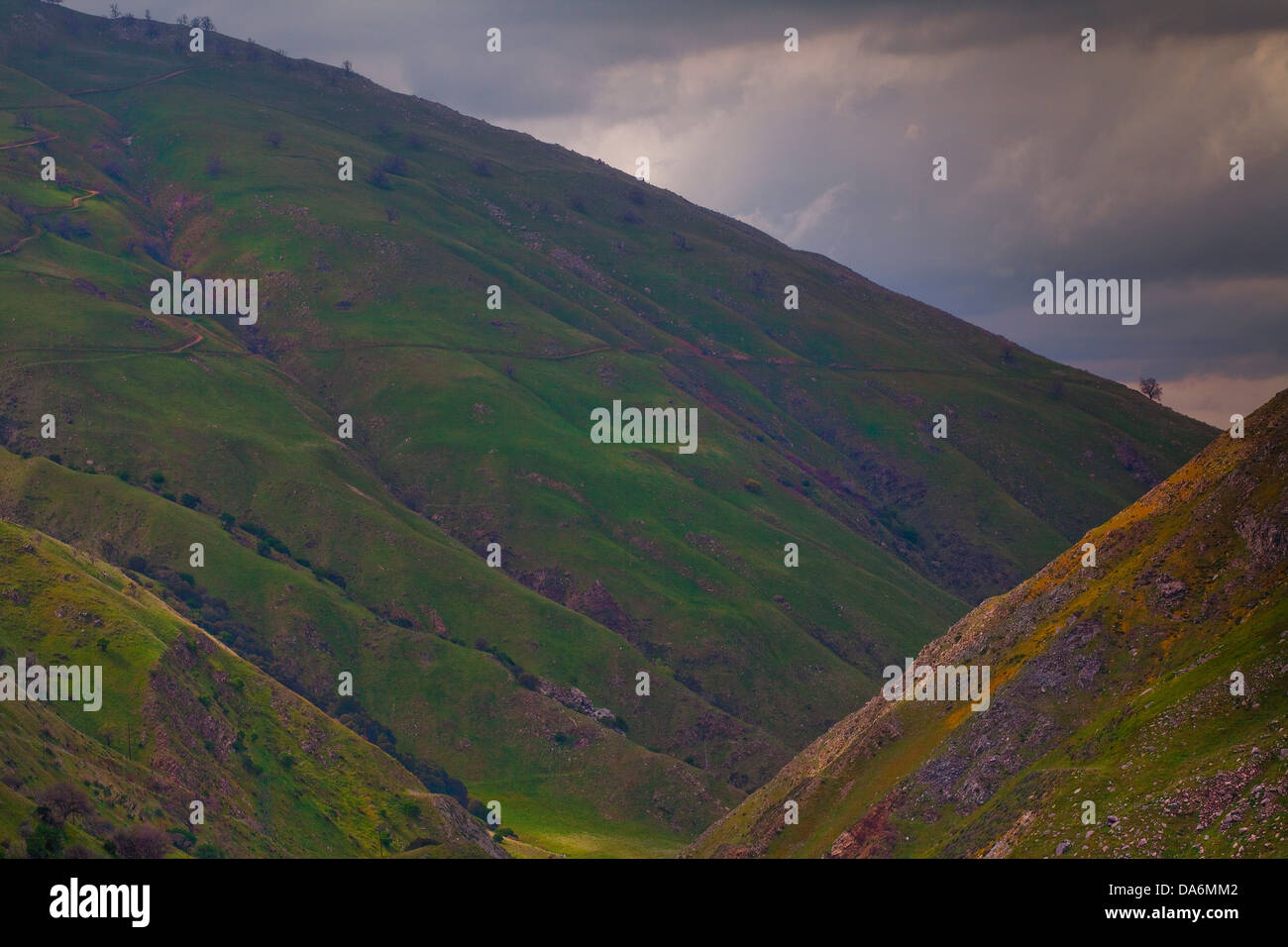 USA, USA, Amerika, Kalifornien, Tejon-Pass, Zentral-Kalifornien, Frühling, Pass, sanften Hügeln, Landschaft Stockfoto