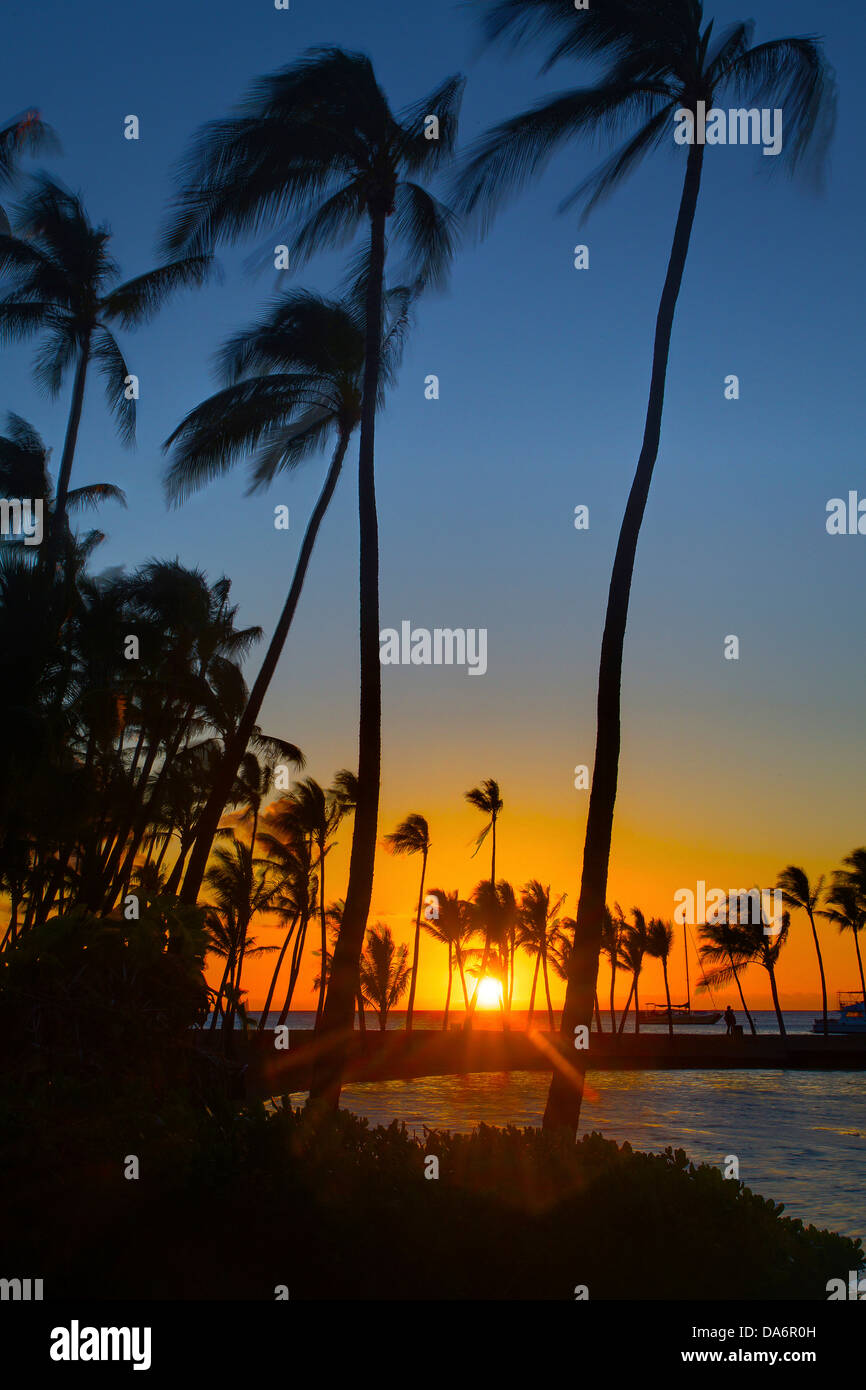 USA, USA, Amerika, Hawaii, Big Island, Sonnenuntergang, Palmen, Pazifischen Ozean, Meer, Stockfoto