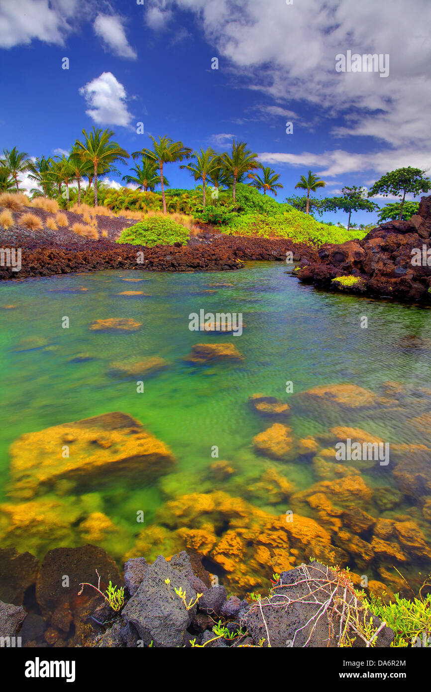 USA, USA, Amerika, Hawaii, Big Island, Palmen, Einlass, Pazifischen Ozean, Wasser Stockfoto