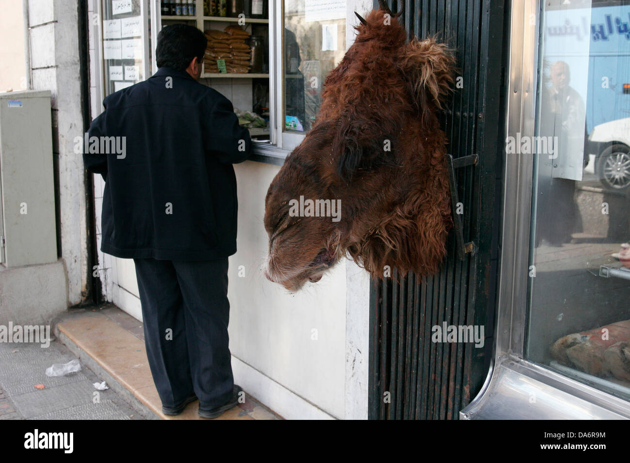 Kamel Kopf hängen beim Metzger kaufen verkaufen Kamelfleisch, Shiraz, Zentraliran Stockfoto
