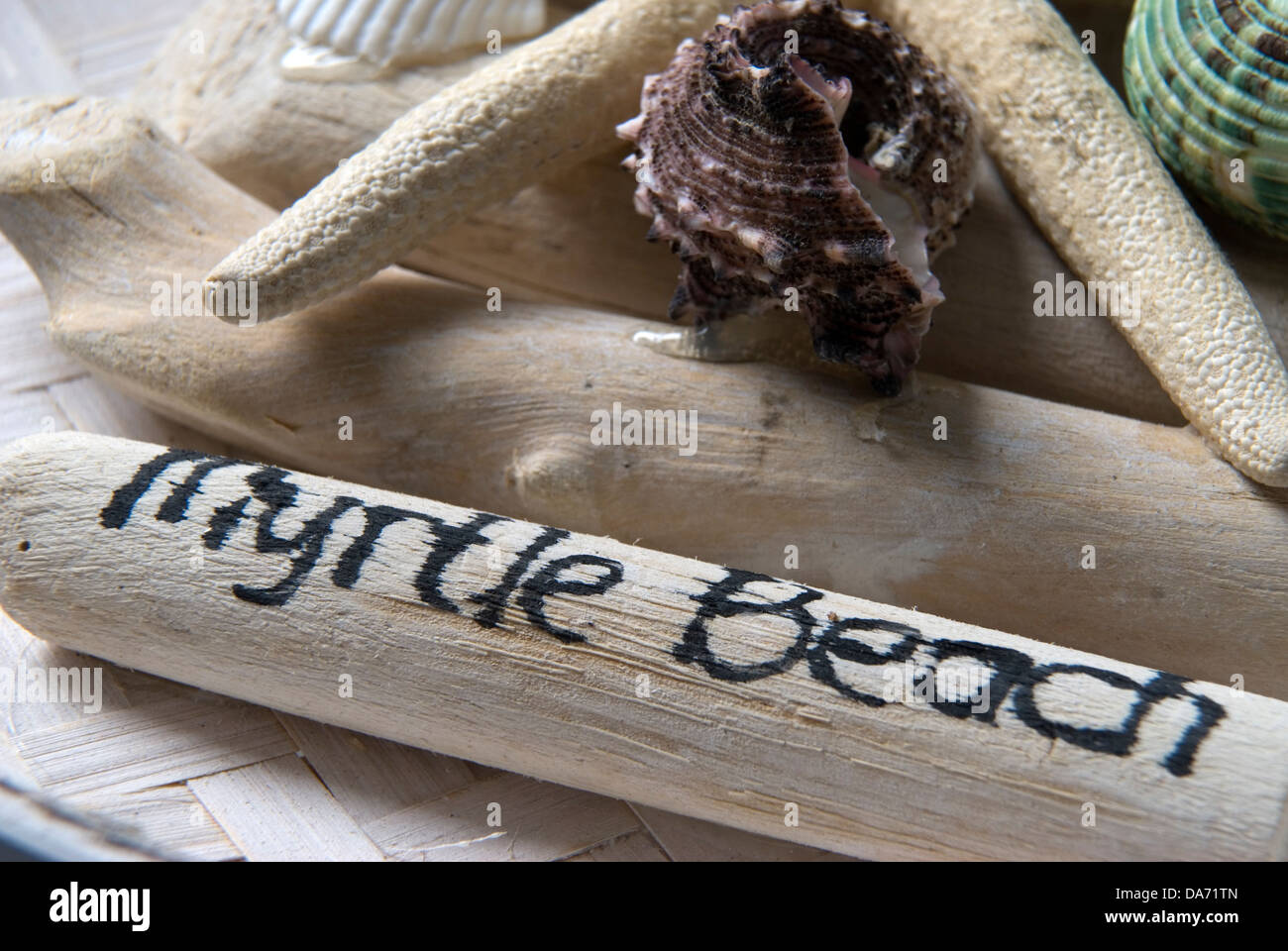 Stillleben-Myrtle Beach South Carolina USA. Stockfoto
