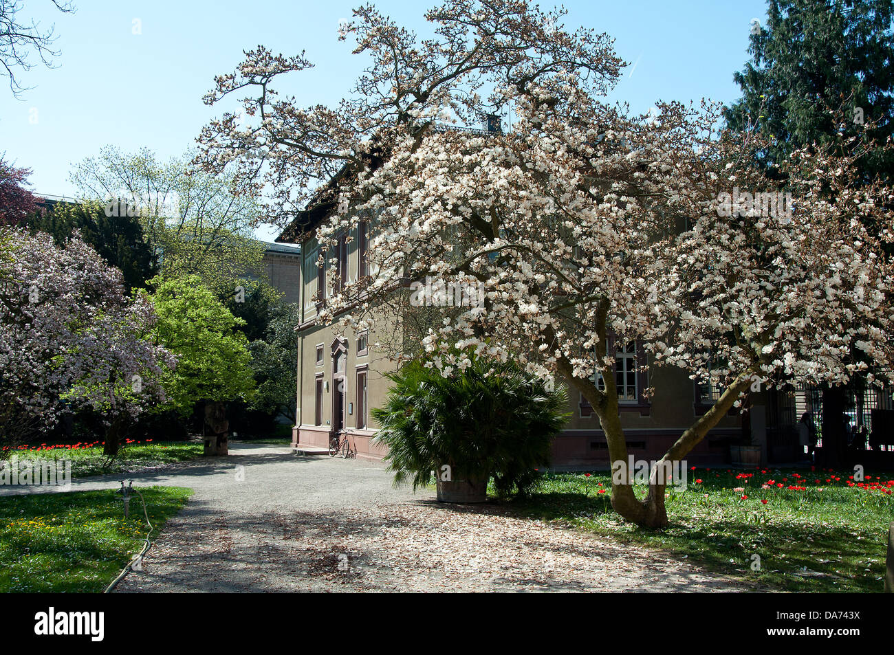 Botanischer garten karlsruhe Fotos und Bildmaterial in hoher