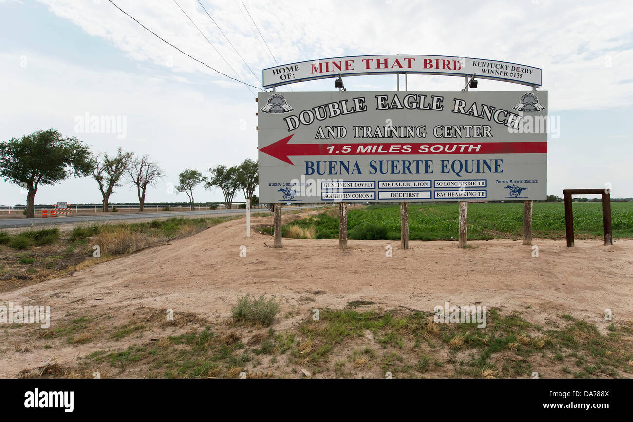 5. Juli 2013 - Roswell, New Mexico, USA - nach einem langwierigen Kampf mit Tierschutzorganisationen und der United State Department of Agriculture, wurde das Tal Fleisch Company von Roswell, New Mexico gegeben ein Grant für Prüfungen von der USDA, den Weg für das Werk, seine Rinder Schlachtung Betrieb, das Gemetzel Pferde wegen ihres Fleisches zu konvertieren.  Das Unternehmen plant, in Länder zu exportieren, wo Pferdefleisch von Mensch und Haustier verbraucht wird.  Weniger als fünf Meilen entfernt von der Tötung ist Flioors Tal Fleisch Double Eagle Ranch, Seniorenheim, 2009 Kentucky Derby Sieger, Mine Th Stockfoto