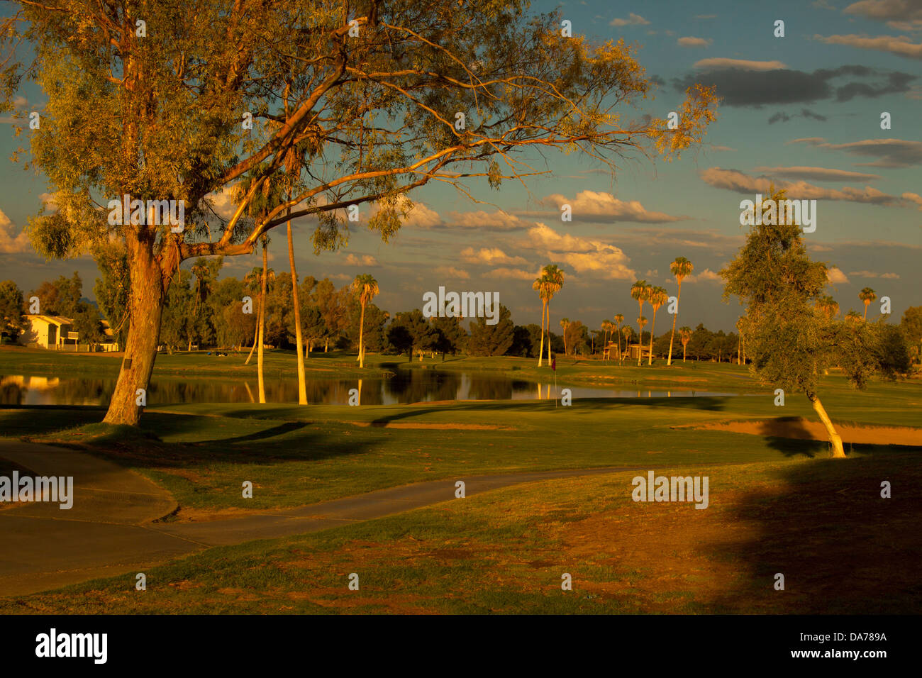 Eine Szene aus einem Fairway mit einem Wasserspiel auf dem Ahwatukee Country Club Golfplatz im Süden Phoenix Arizona Stockfoto