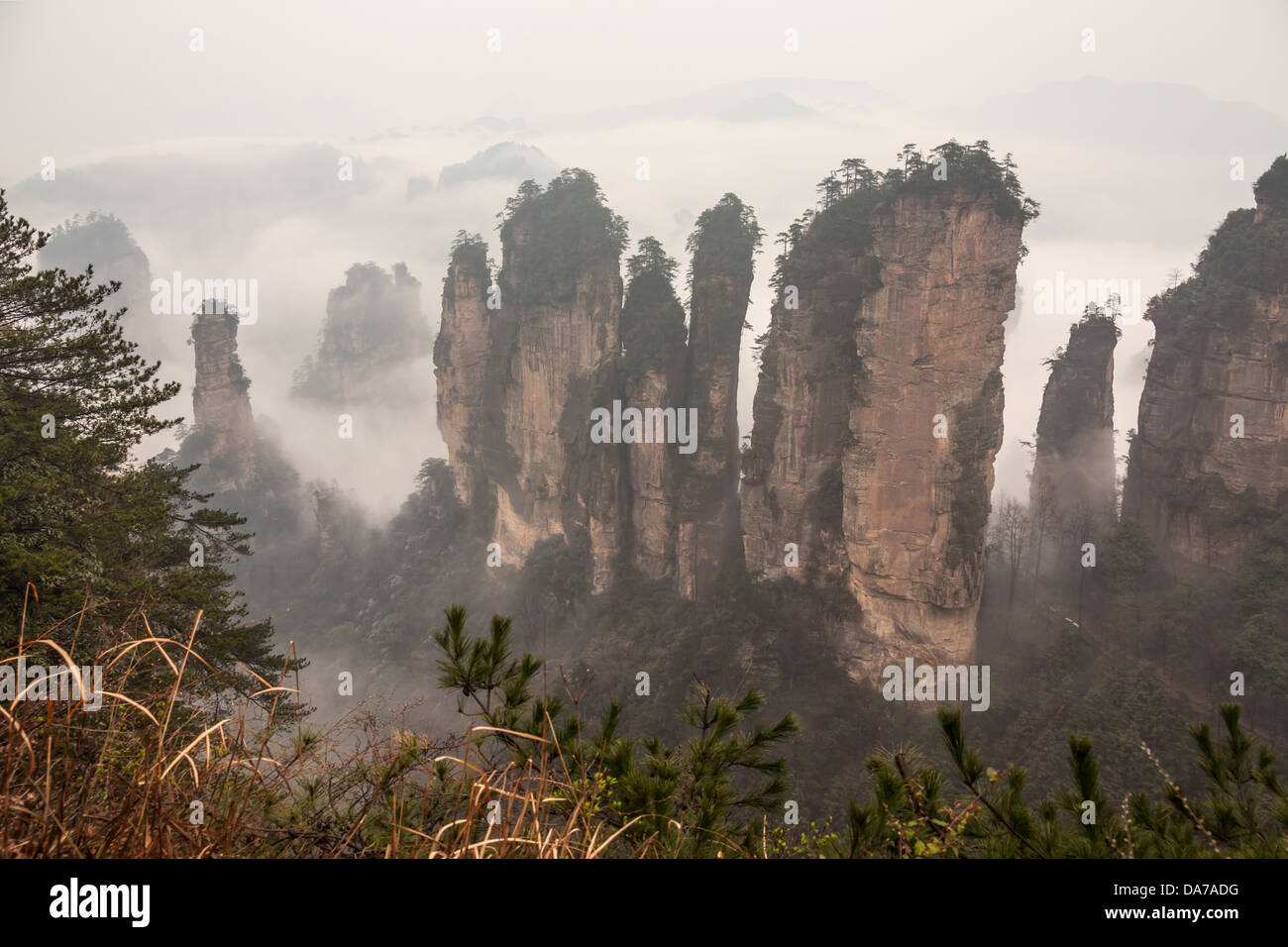 Geheimnisvolle Zhangjiajie Berge. Stockfoto