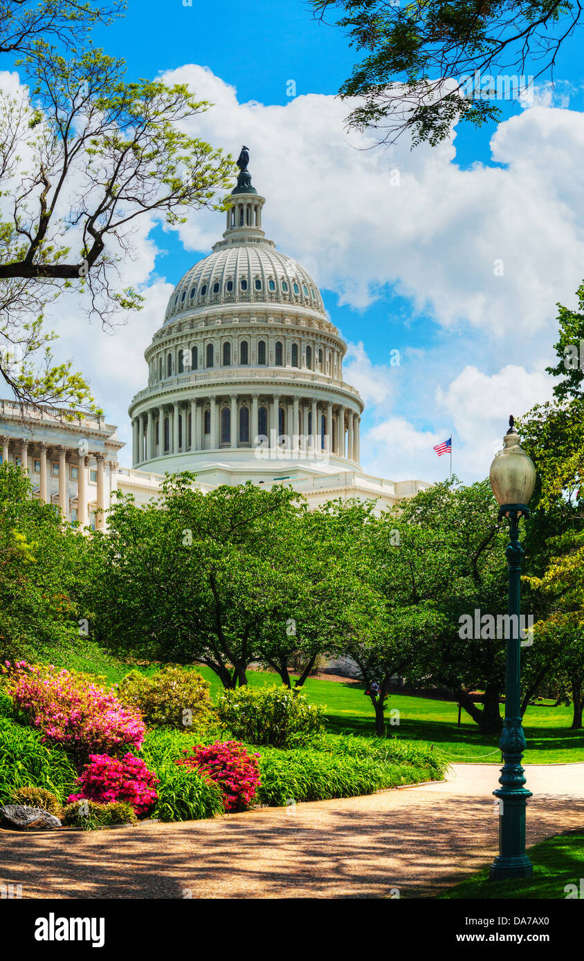 United States Capitol building in Washington, DC an einem sonnigen Tag Stockfoto