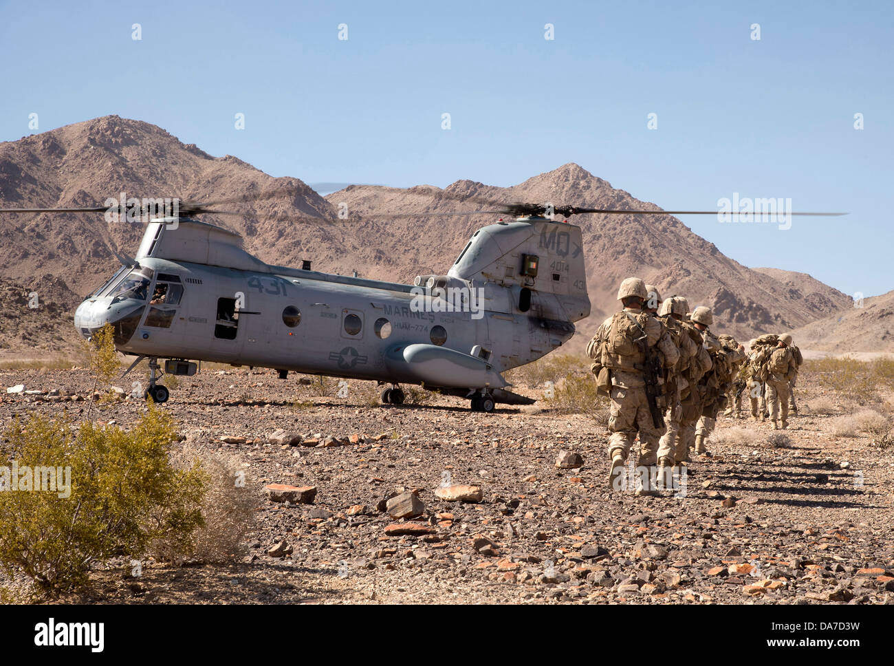 US-Marines mit dem 23. Marine Regiment gehen in Richtung einer CH-46 Sea Knight Helikopter während einer Übung 22. Juni 2013 im Marine Corps Air Ground Combat Center Twentynine Palms, CA. Stockfoto