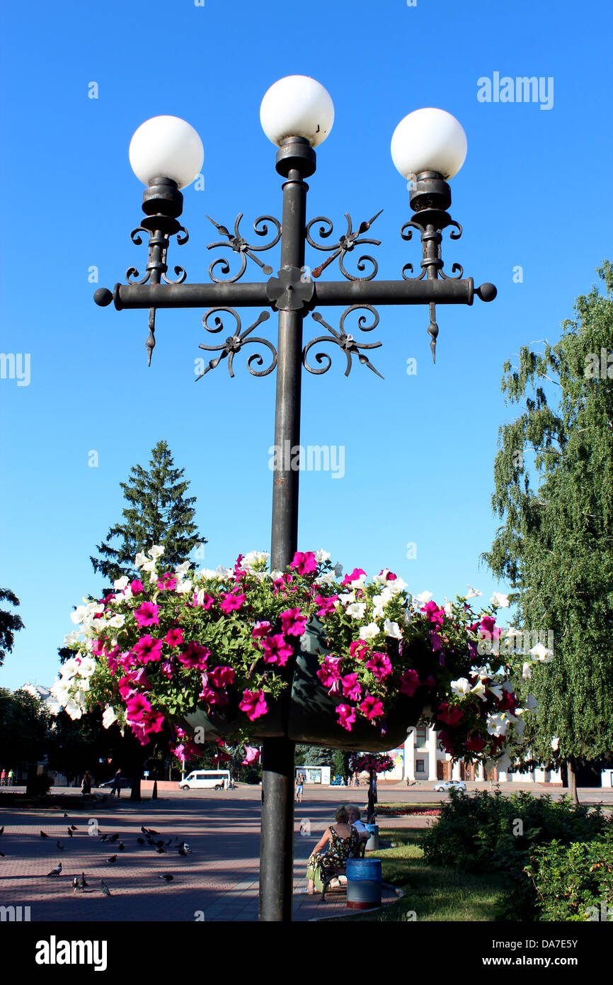 Bild von Laternen im Stadtpark mit hängenden Blüten Stockfoto