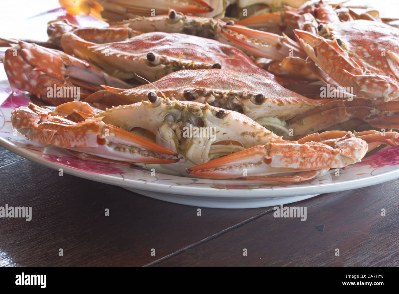 Große rote frische Krabben essen gedämpft Stockfoto