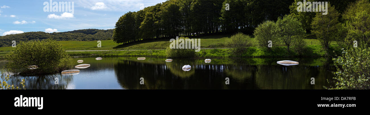 Die Land Art Arbeit bezeichnet Mégascospic Diatomeen, von Prisca Cosnier gemacht. Ein Projekt in den Horizont "Natur-Kunst" 2013 Rahmen Stockfoto