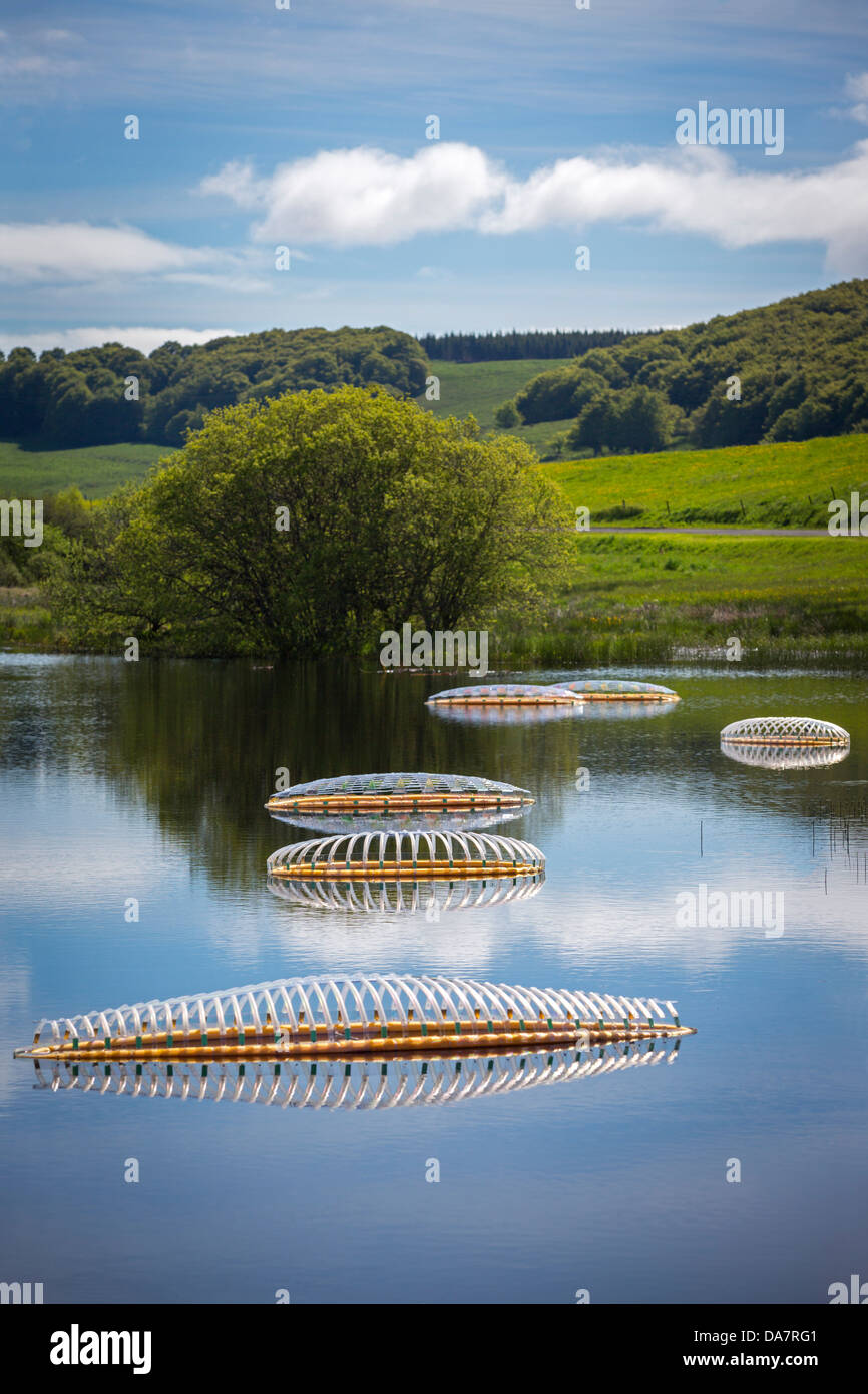 Die Land Art Arbeit bezeichnet Mégascospic Diatomeen, von Prisca Cosnier gemacht. Ein Projekt in den Horizont "Natur-Kunst" 2013 Rahmen Stockfoto