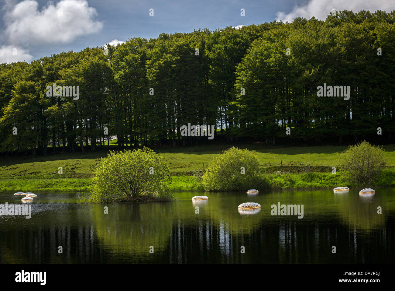 Die Land Art Arbeit bezeichnet Mégascospic Diatomeen, von Prisca Cosnier gemacht. Ein Projekt in den Horizont "Natur-Kunst" 2013 Rahmen Stockfoto