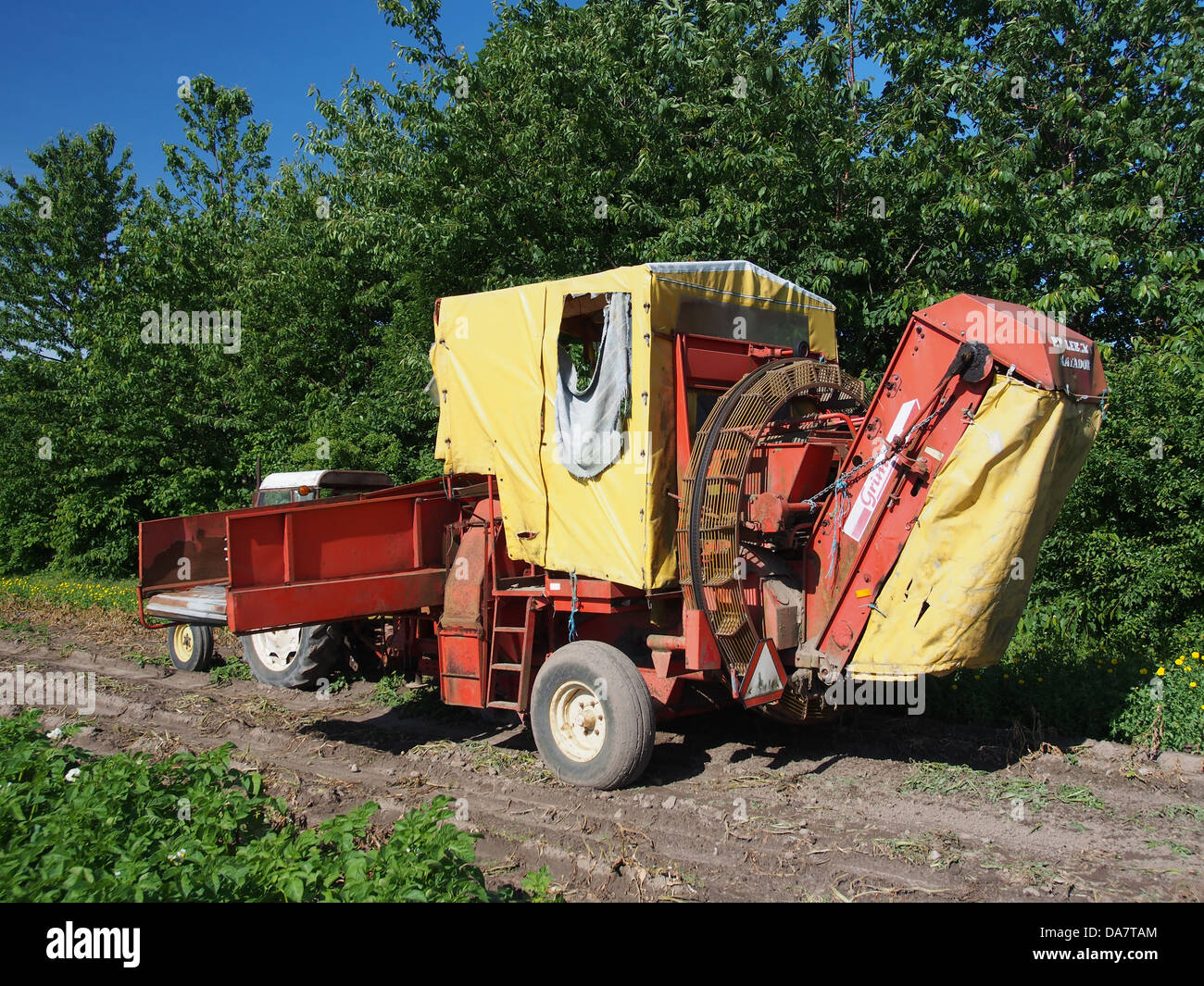 Grimme Matador 2 Stockfoto