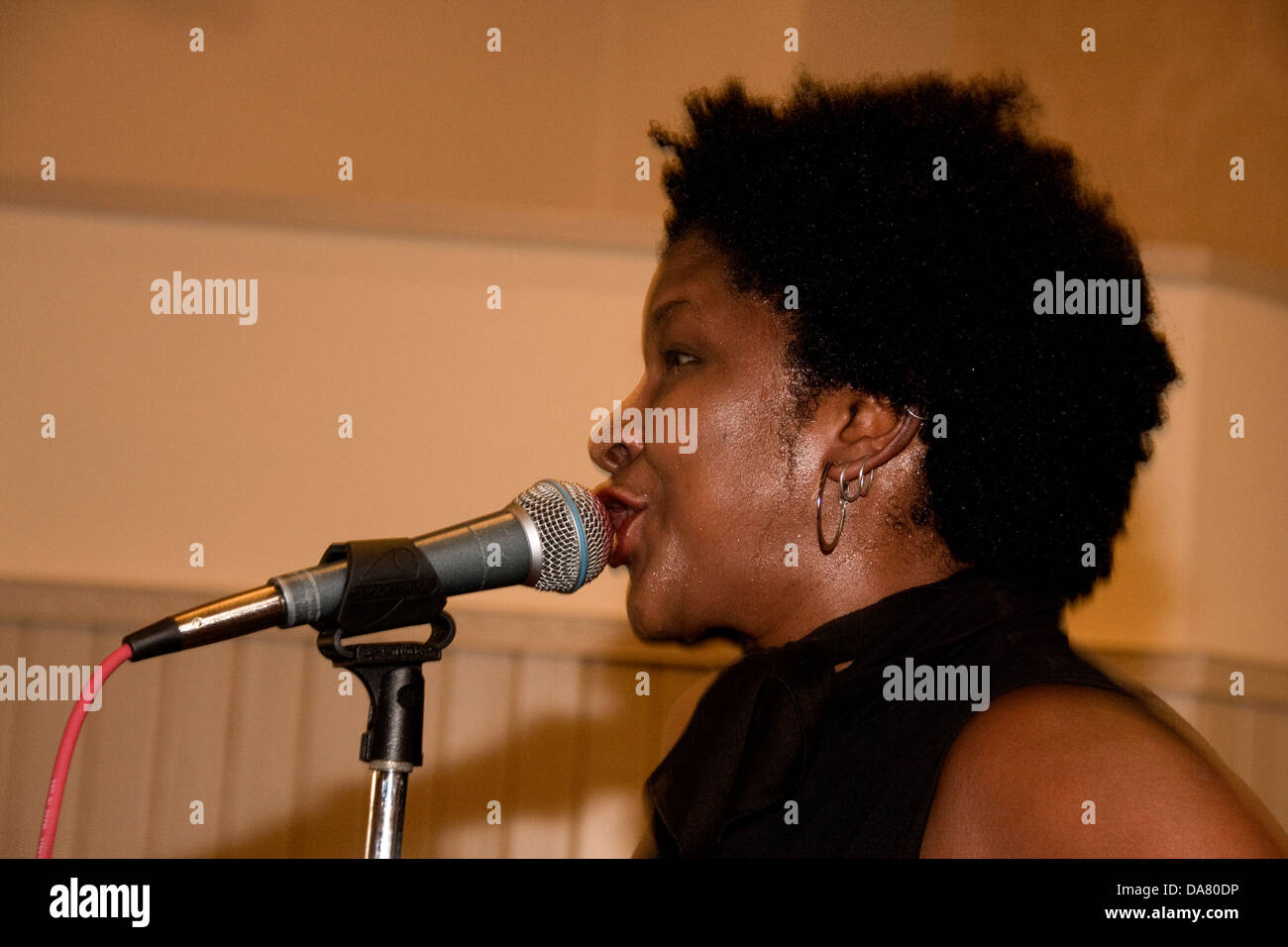 Kathleen Pearson Kat & Co die live im Mercantile Pub während 2013 Blues Bonanza in Dundee, Großbritannien Stockfoto