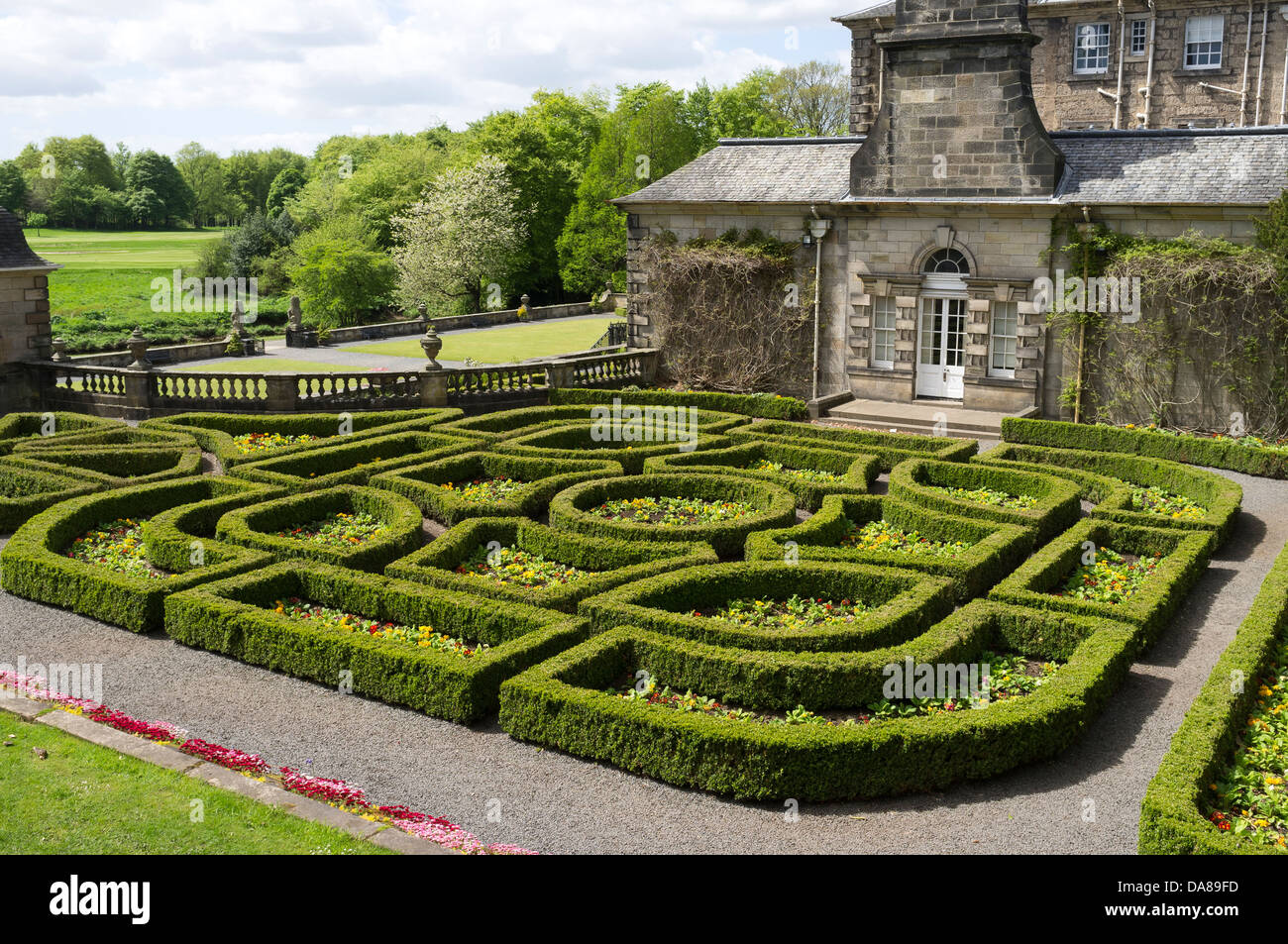 Formschnitt-Hecken im Garten Pollok House, Glasgow, Schottland Stockfoto