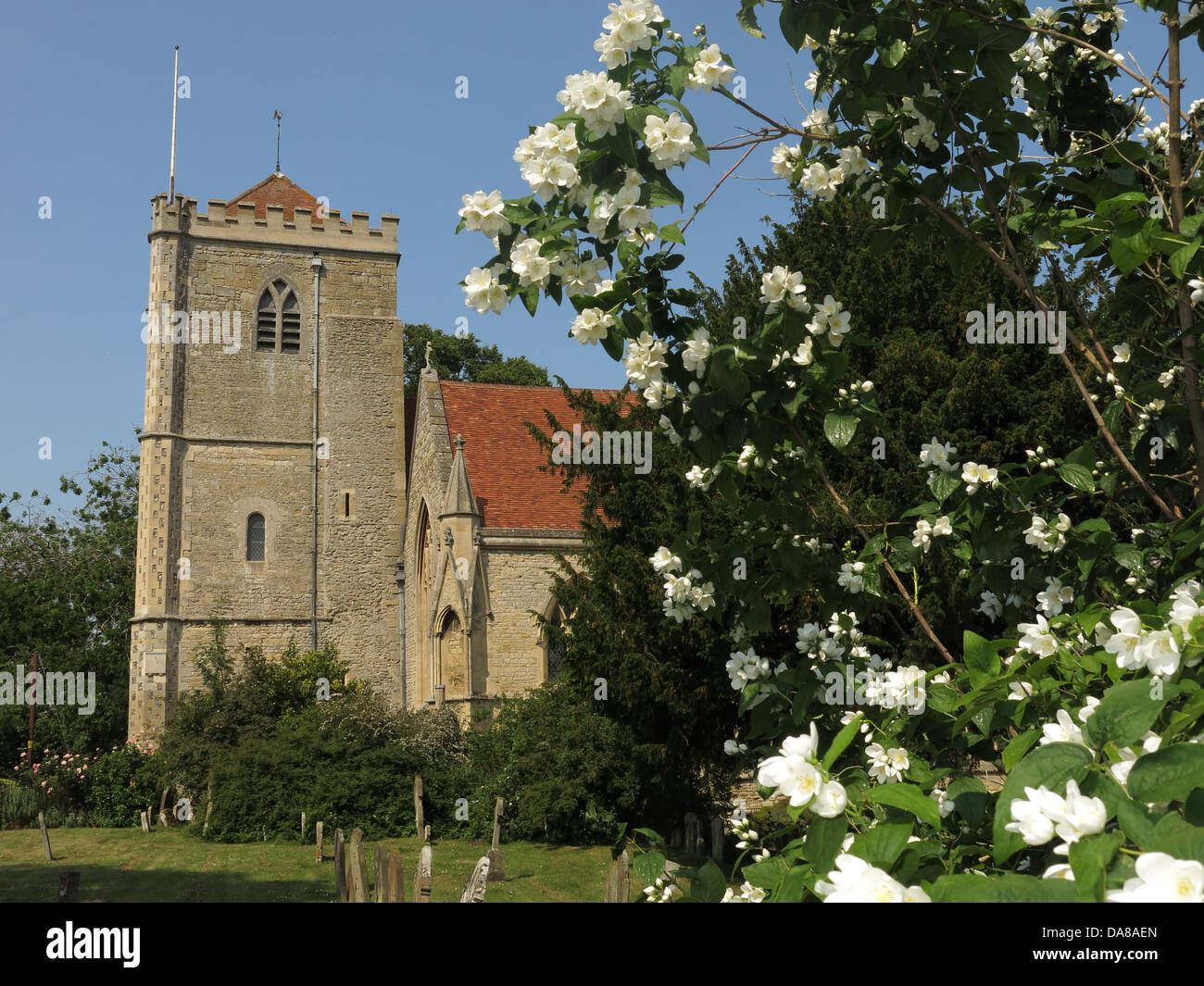 Schöne Dorchester auf Themse Abtei Kirche des Hl. Peter & St Paul im Sommer Stockfoto