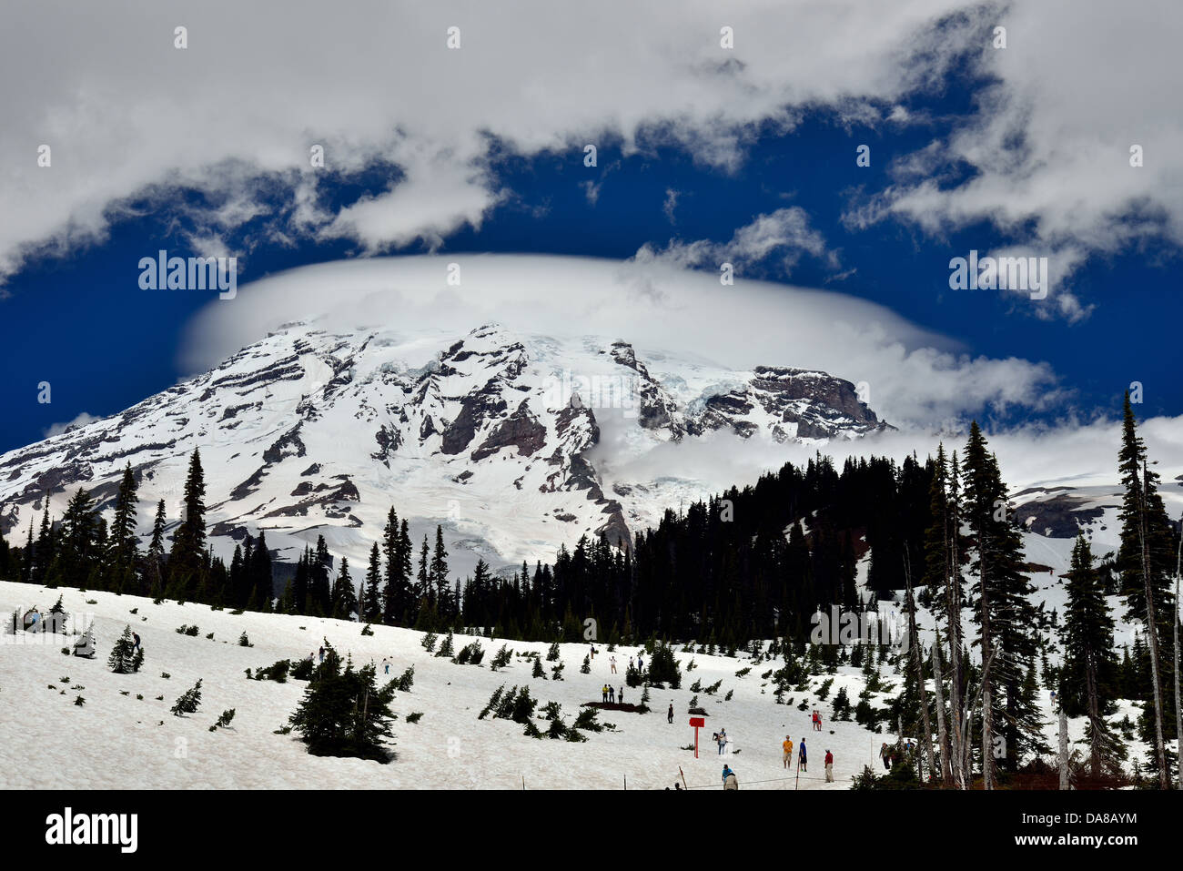 Linsenförmige Wolken umgeben den Gipfel des Mount Rainier. Mt. Rainier Nationalpark, Washington, USA. Stockfoto