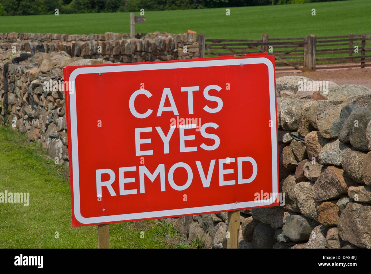 Straßenschild: Katzen Augen entfernt Stockfoto