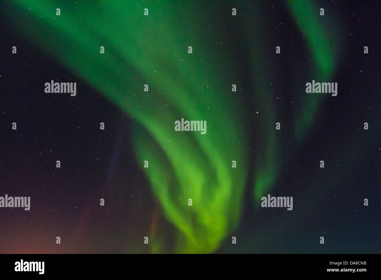 Nordlichter (Aurora Borealis) sichtbar vom Churchill River in der Tundra außerhalb von Churchill, Manitoba, Kanada Stockfoto