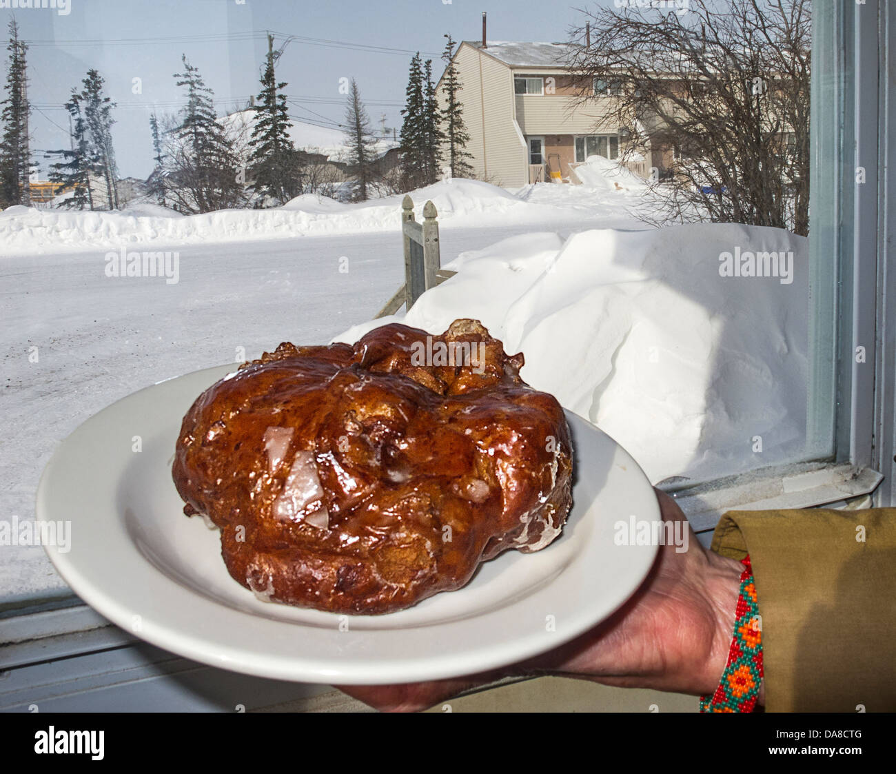 Gypsy es berühmte Apfel Krapfen mit einem Winter-Hintergrund. Churchill, Manitoba Stockfoto