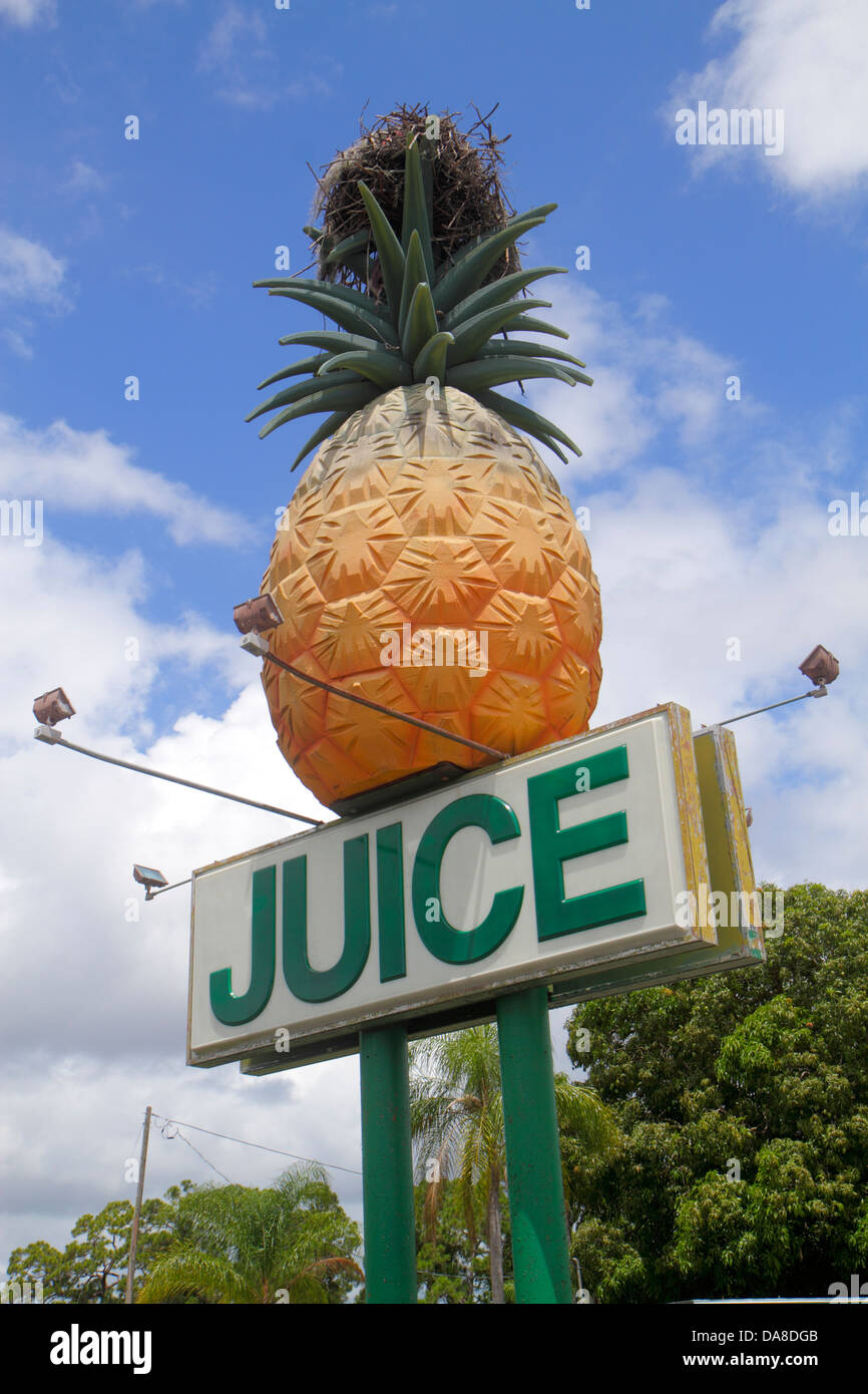 Florida, Lake Placid, Schild, Fruchtsäfte, riesige Ananas, Greifvogelnest, Raubvögel, FL130531033 Stockfoto
